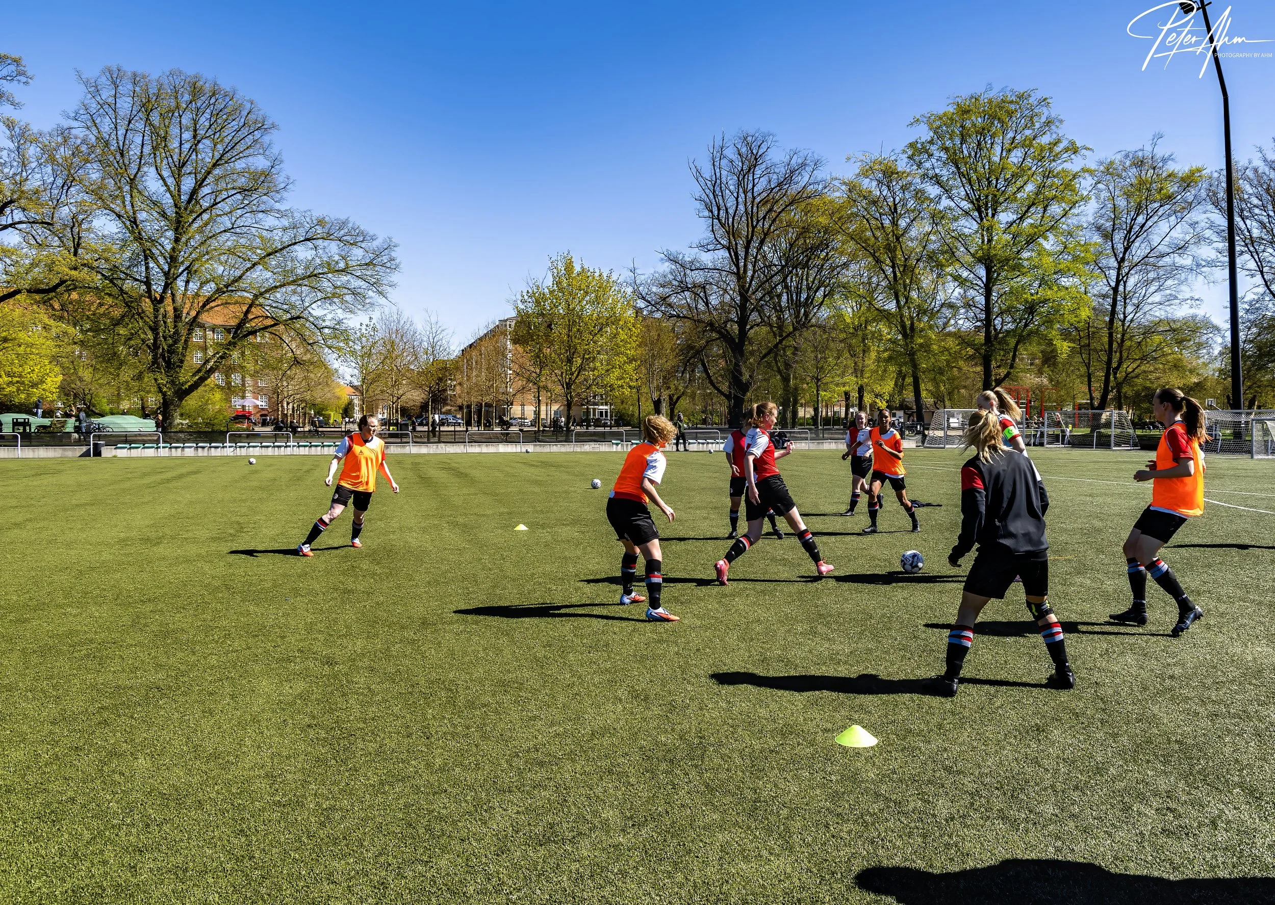 skjold-olstykke 260426 (31).jpg