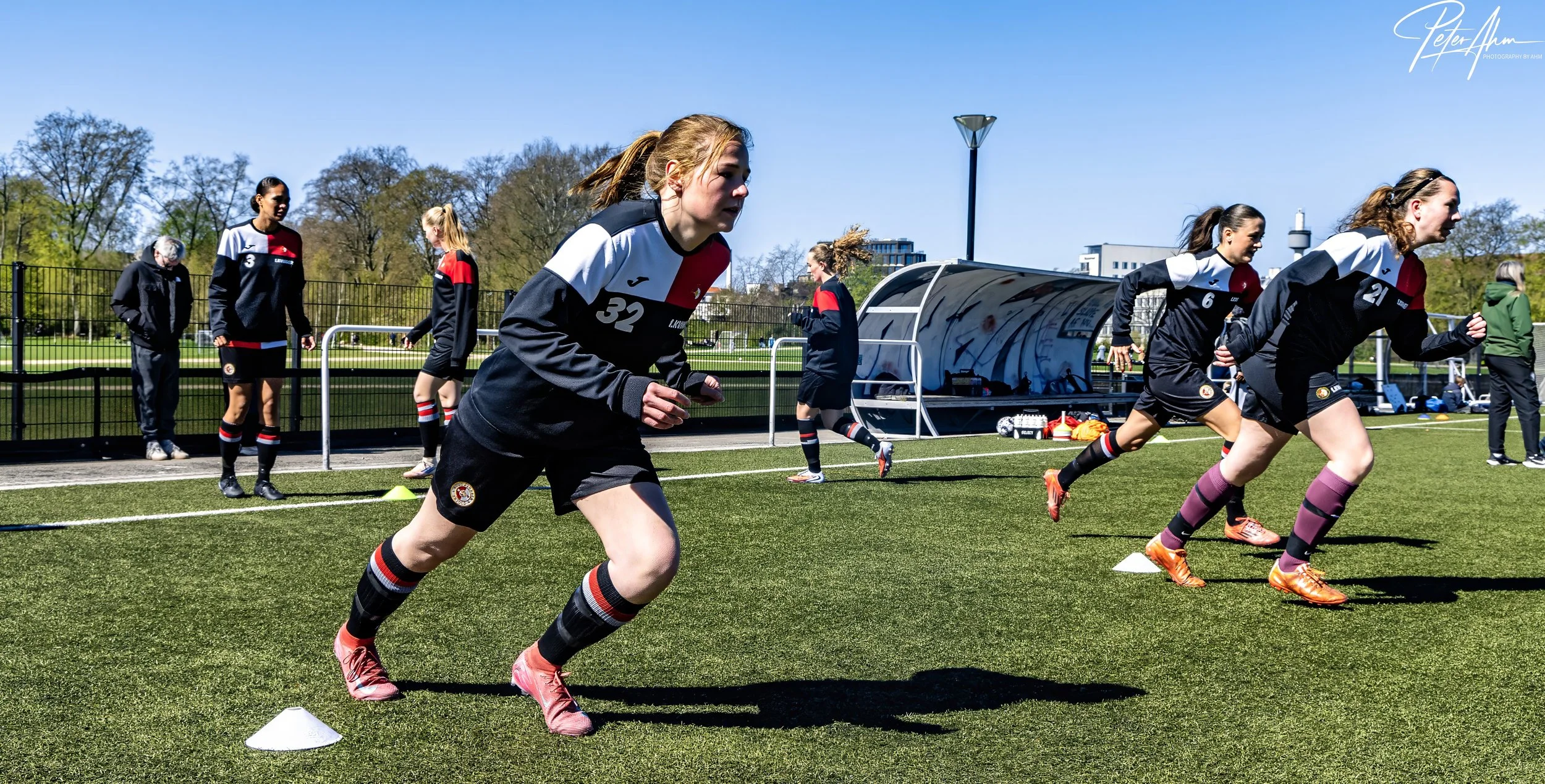 skjold-olstykke 260426 (10).jpg