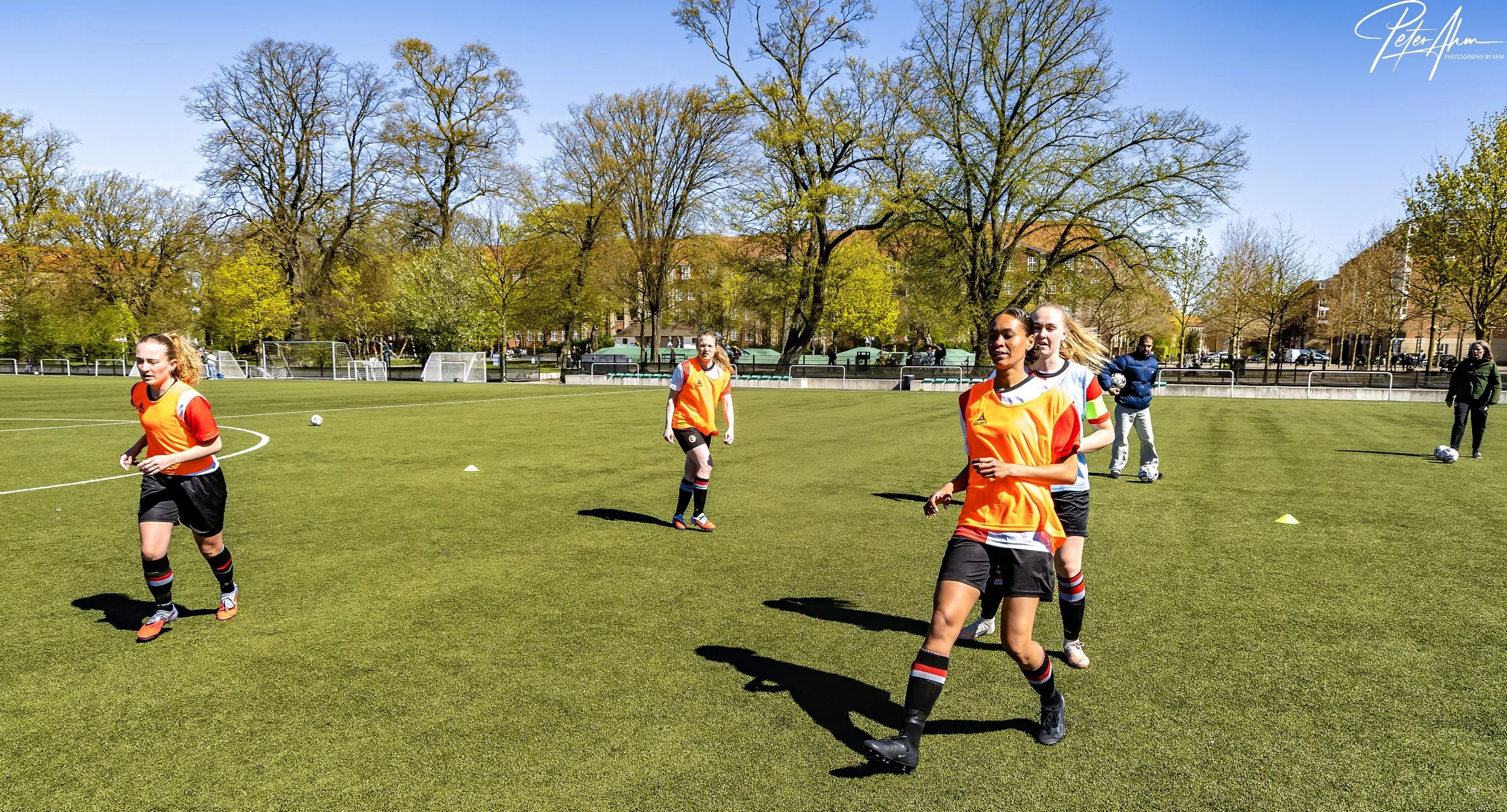 skjold-olstykke 260426 (35).jpg