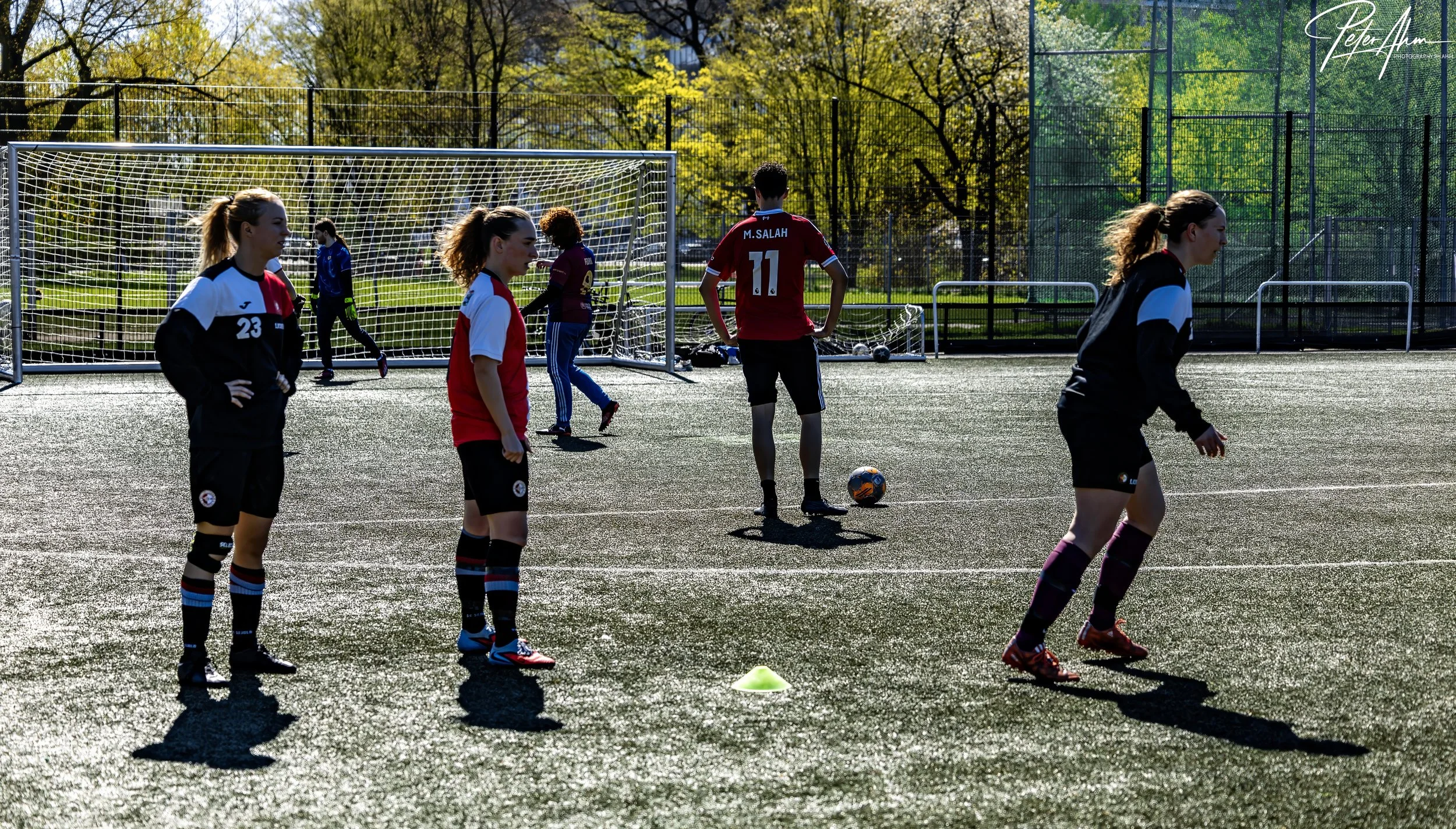 skjold-olstykke 260426 (105).jpg
