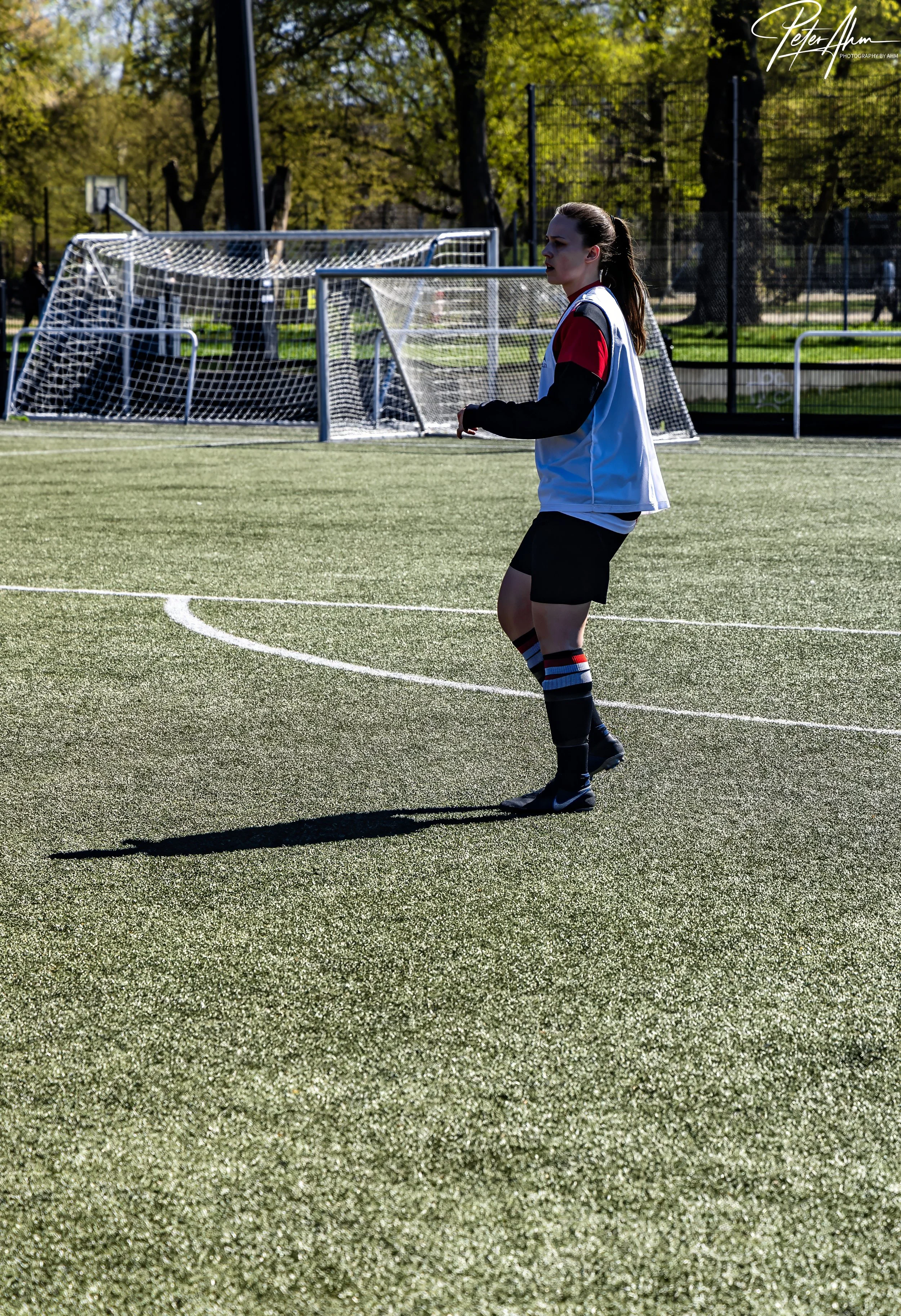 skjold-olstykke 260426 (28).jpg
