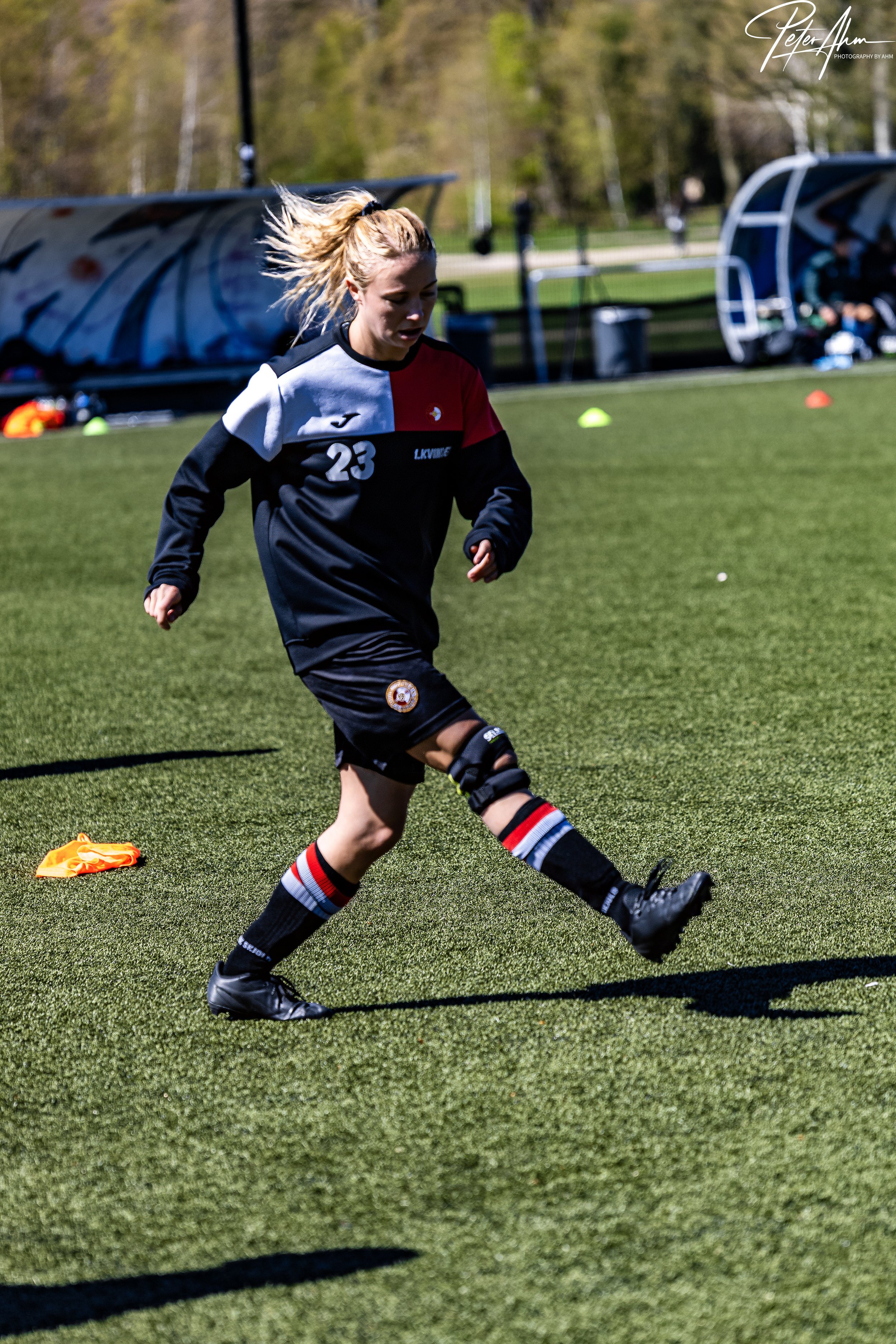 skjold-olstykke 260426 (102).jpg