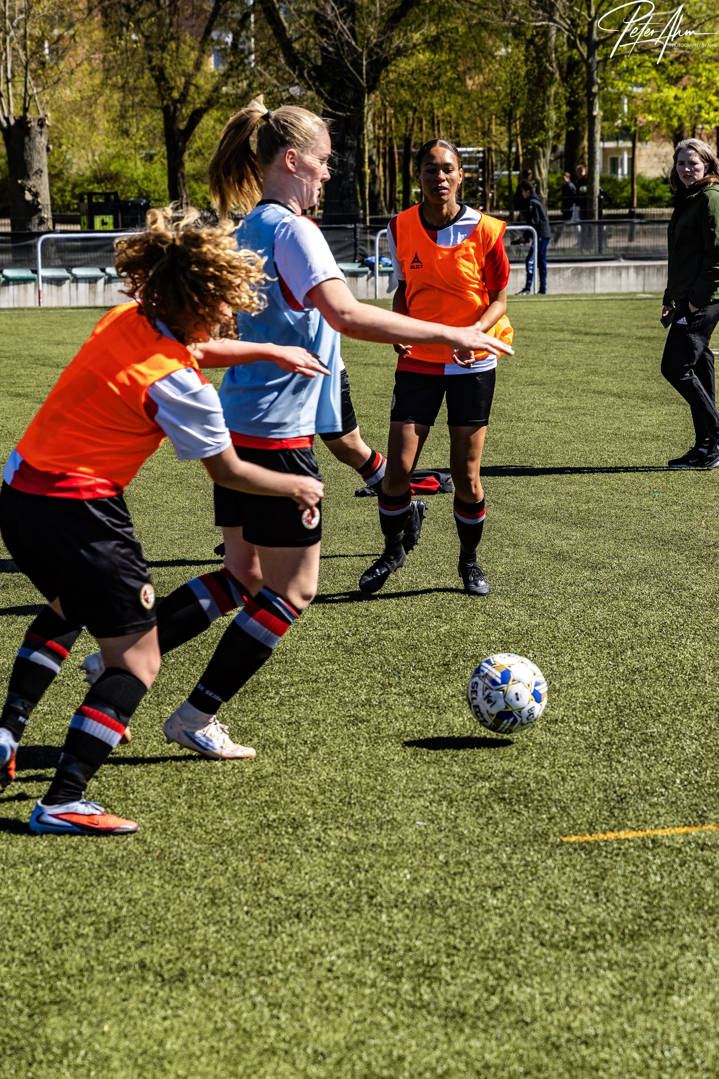 skjold-olstykke 260426 (42).jpg