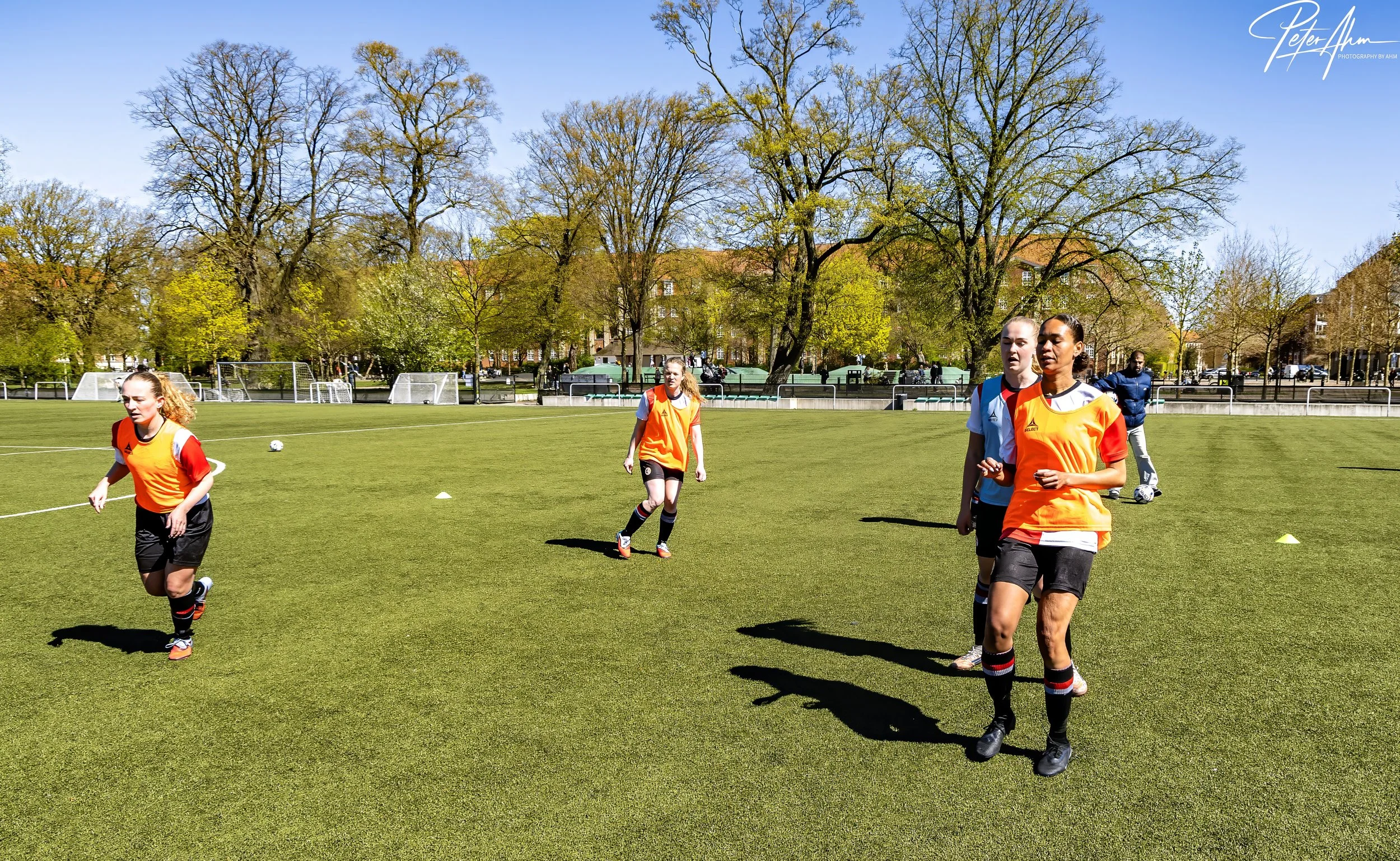 skjold-olstykke 260426 (34).jpg