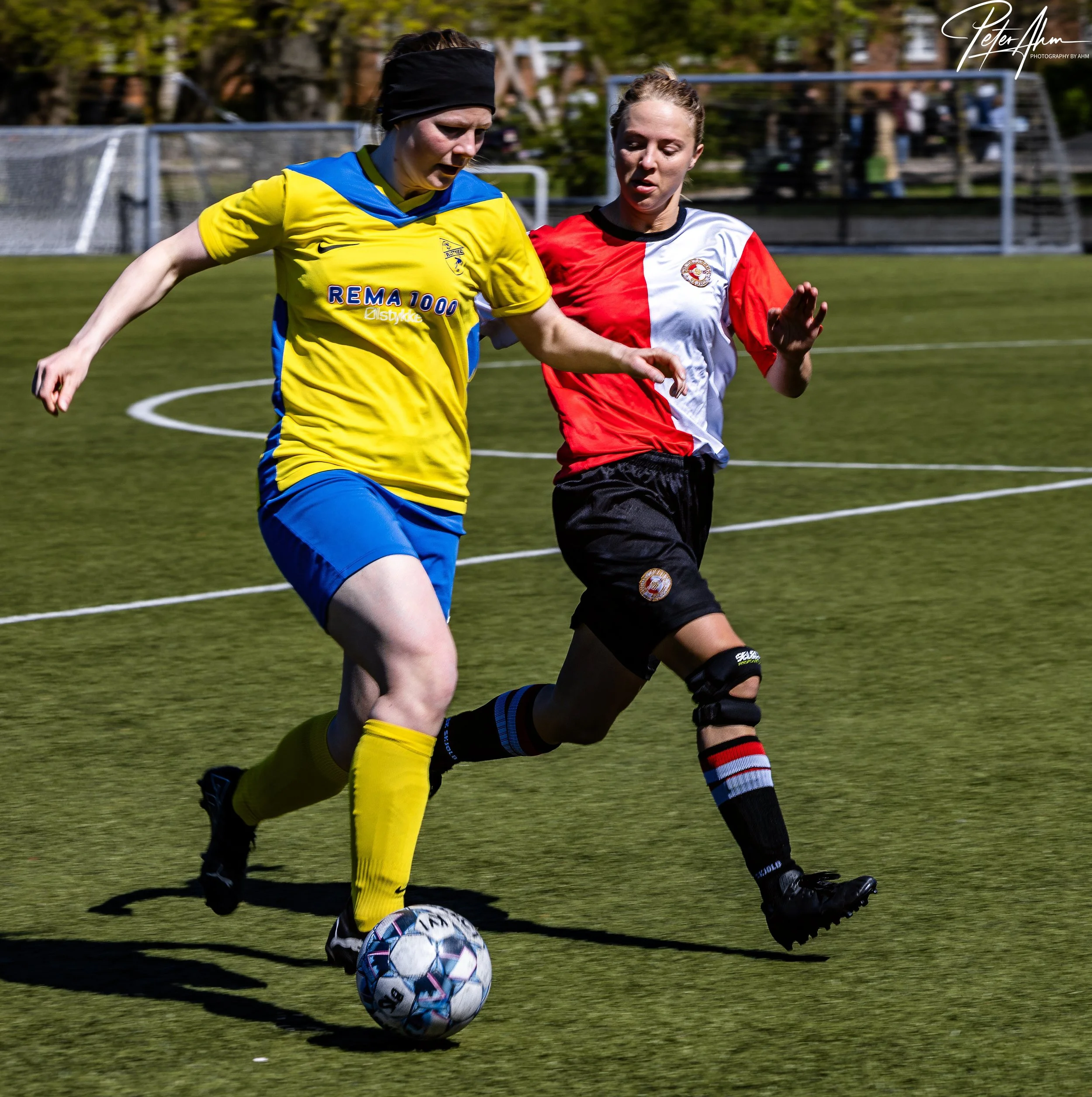 skjold-olstykke 260426 (8).jpg