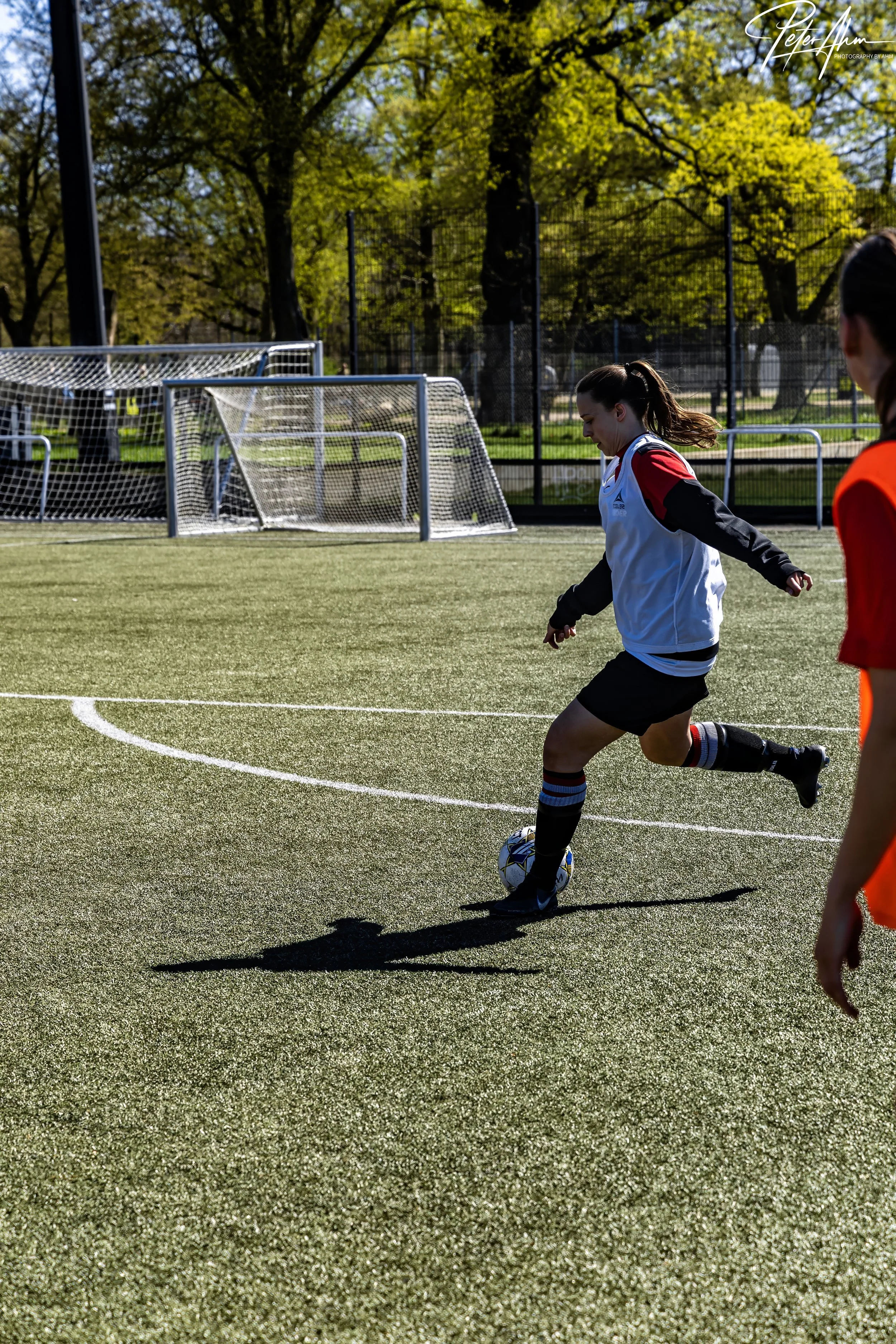 skjold-olstykke 260426 (32).jpg