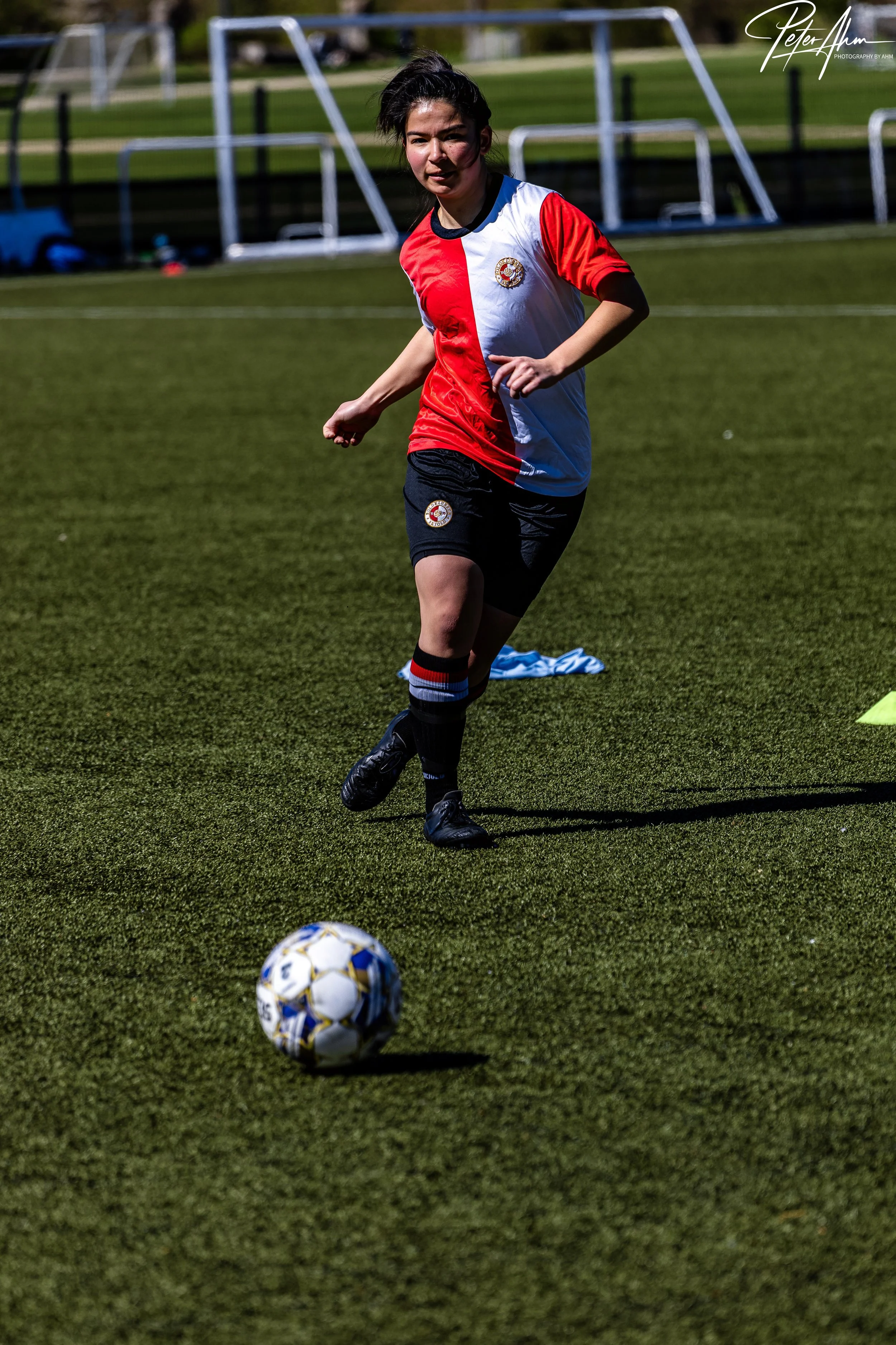 skjold-olstykke 260426 (97).jpg