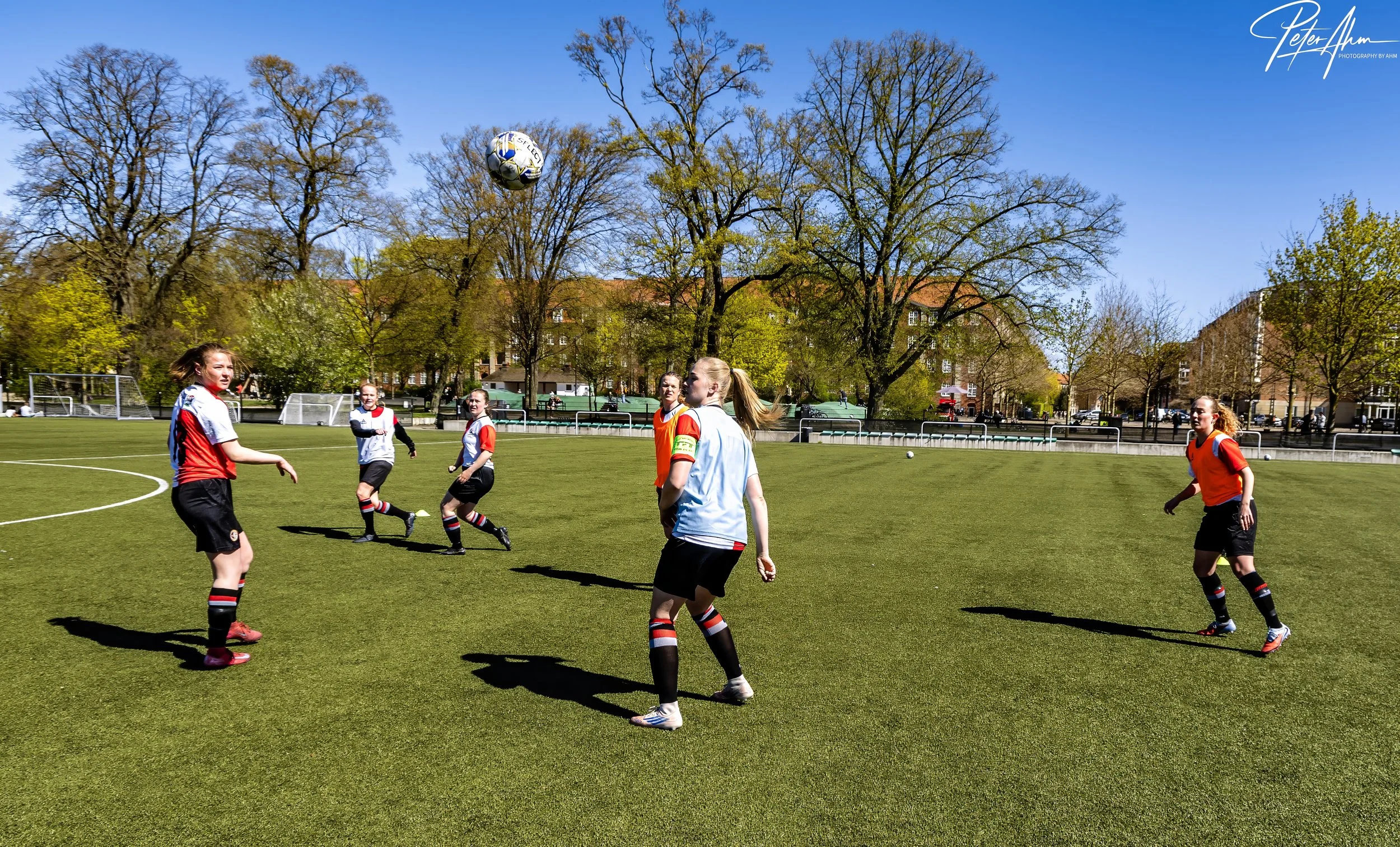 skjold-olstykke 260426 (29).jpg