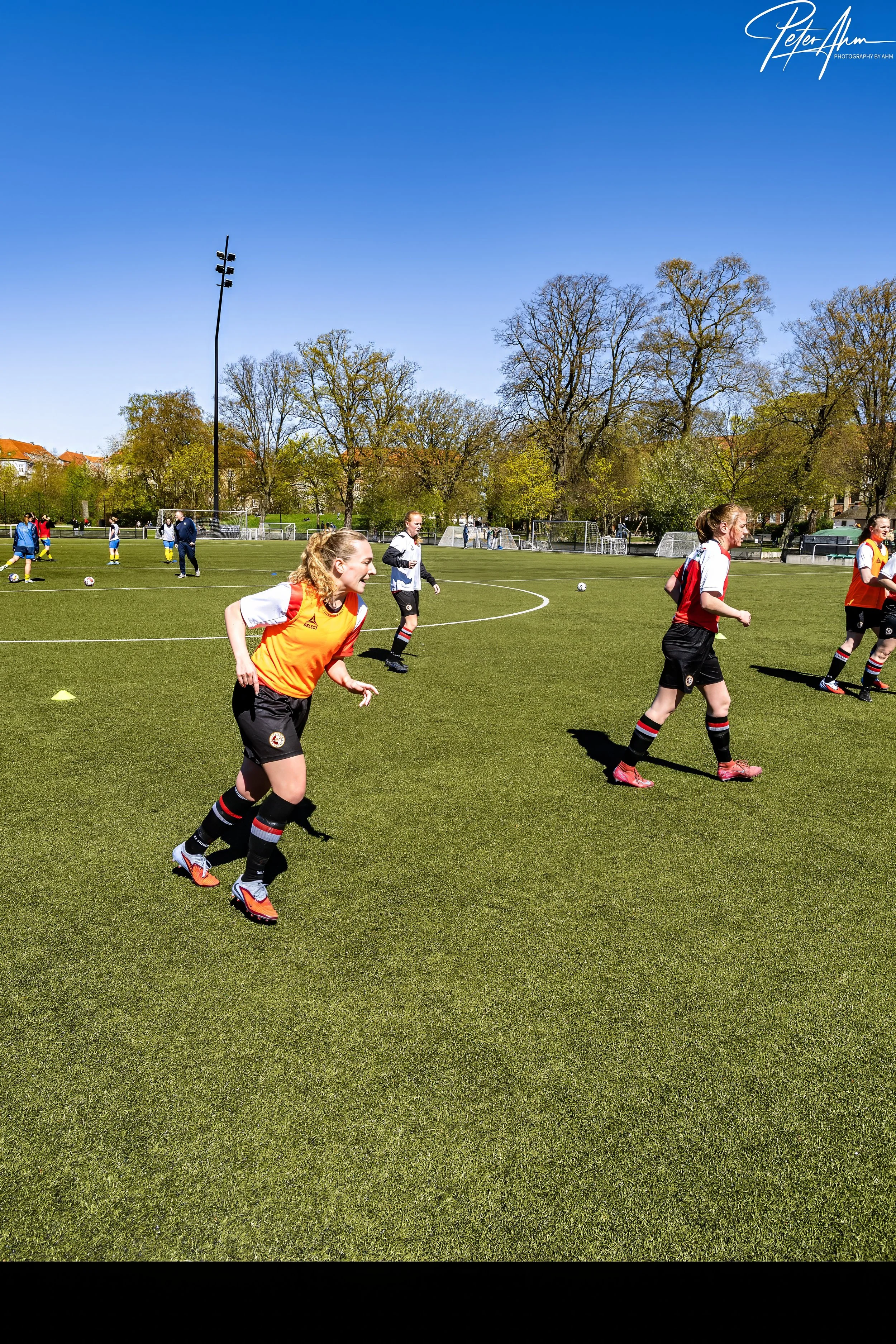 skjold-olstykke 260426 (36).jpg