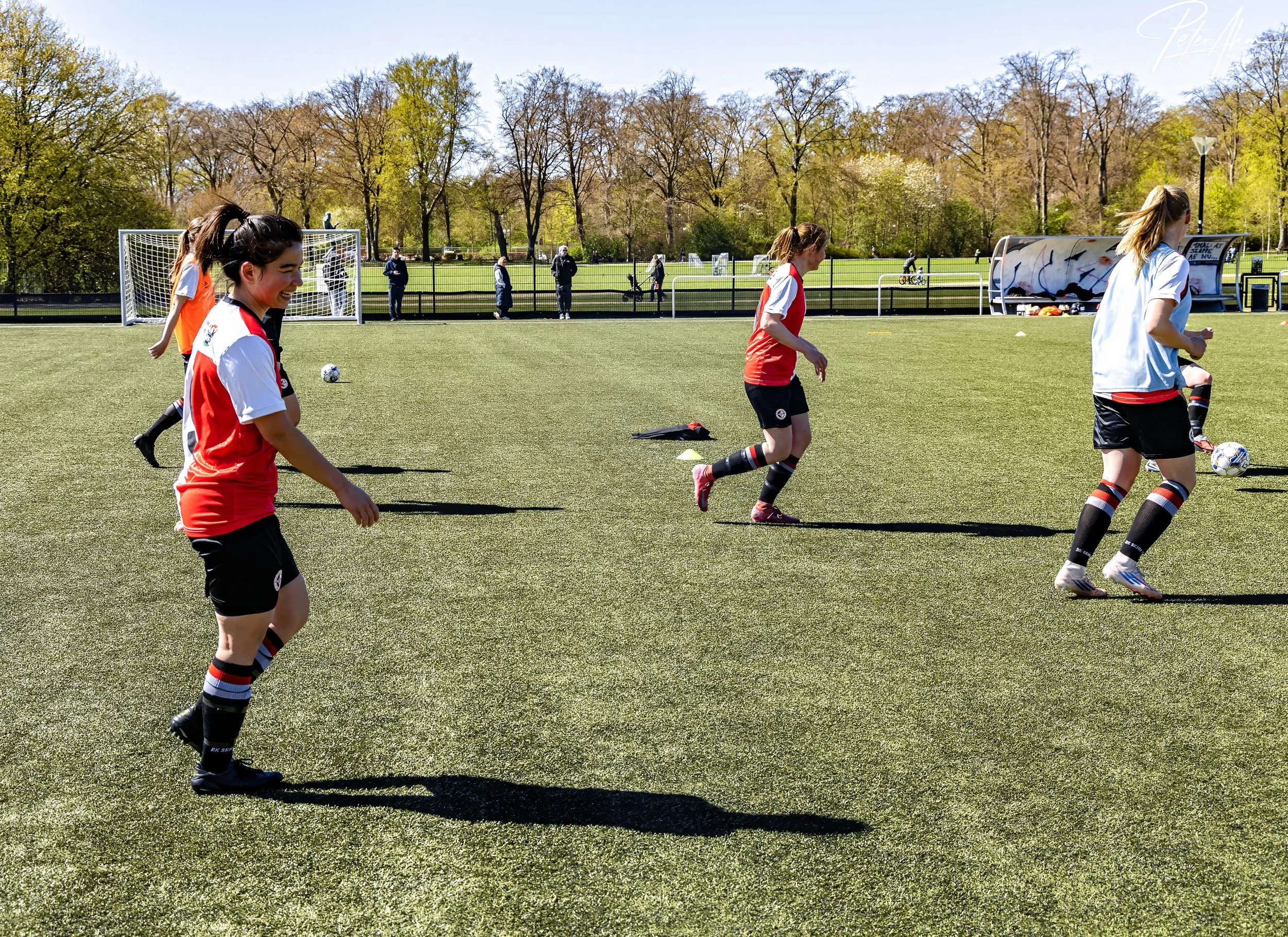 skjold-olstykke 260426 (52).jpg