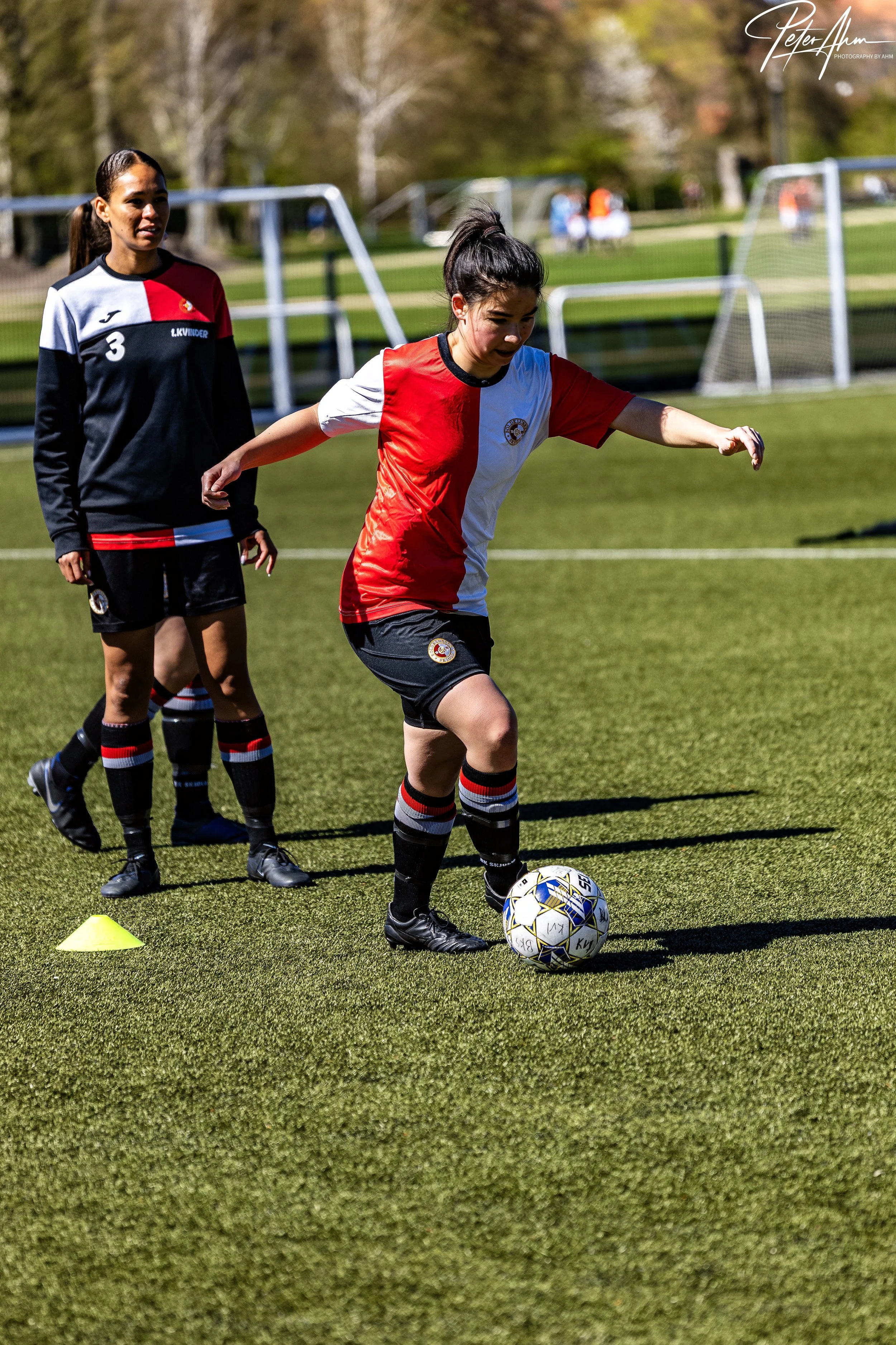 skjold-olstykke 260426 (103).jpg