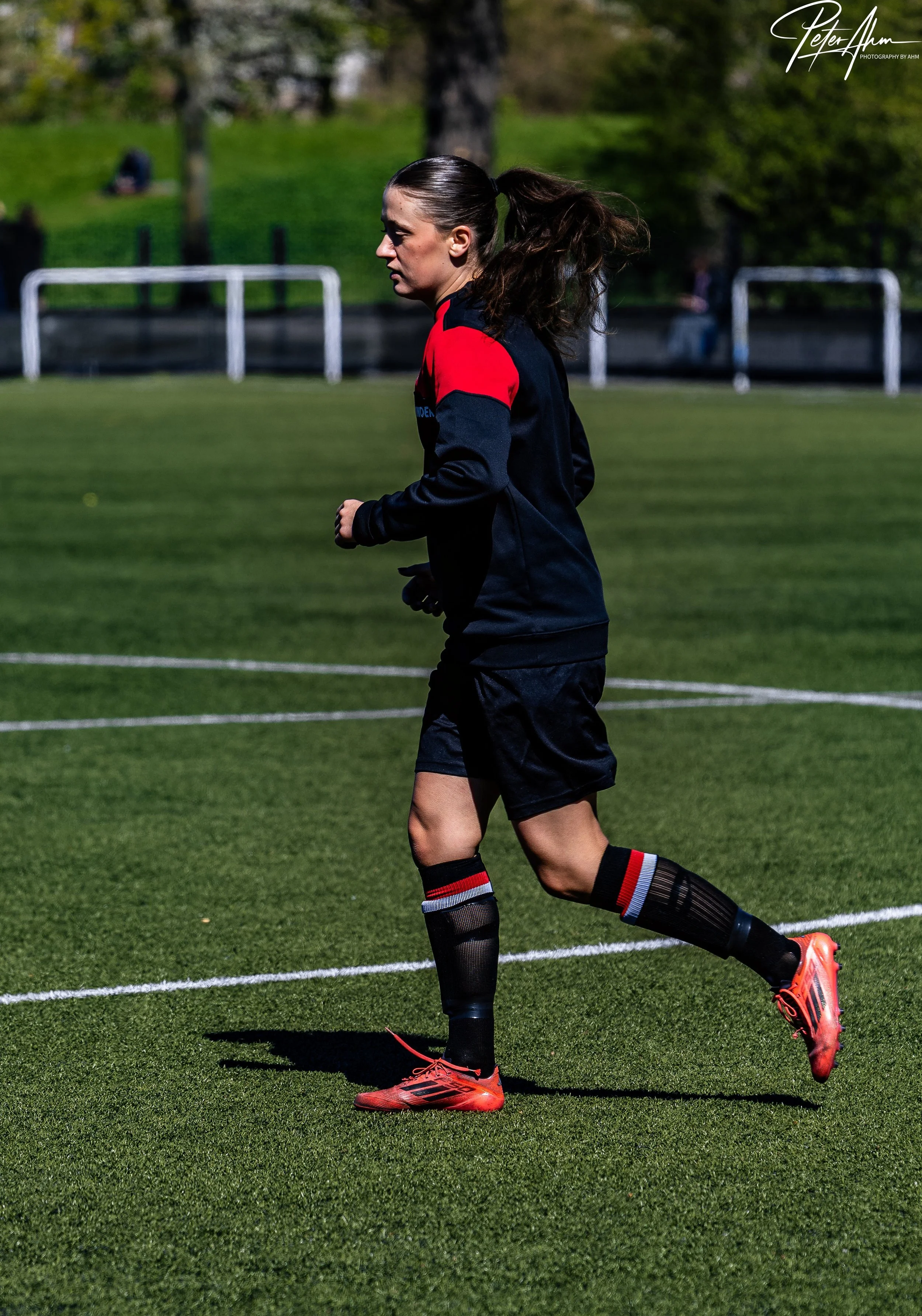 skjold-olstykke 260426 (92).jpg