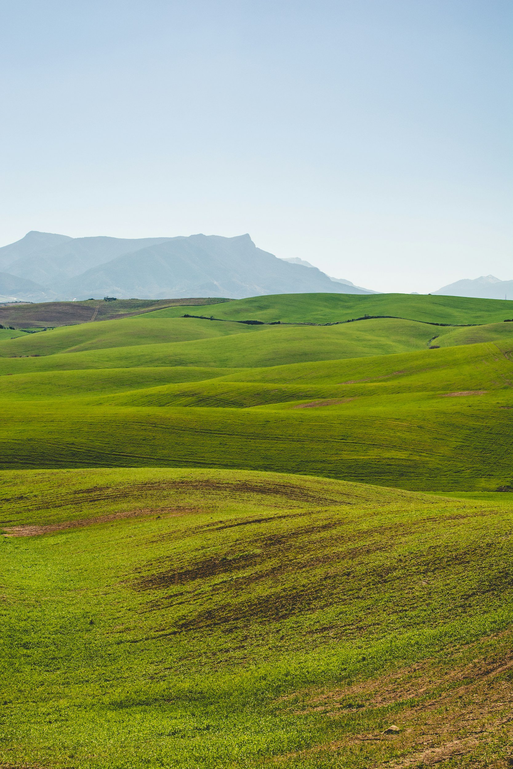 Rolling green hills with mountains in the background under a clear blue sky.