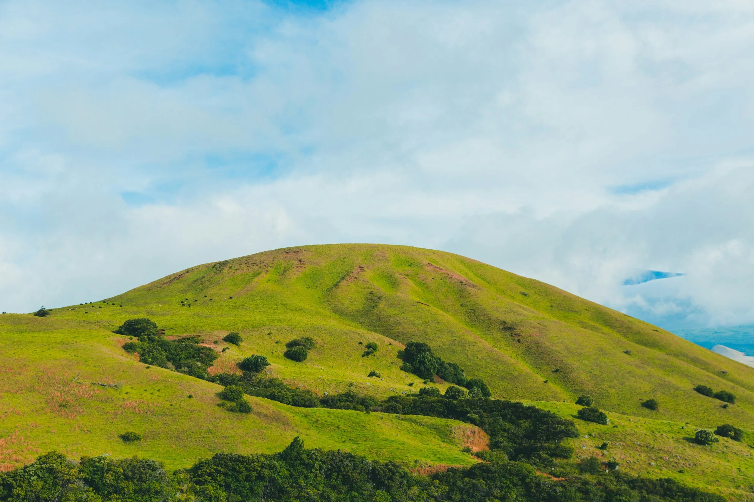Green rolling hill with scattered trees under a partly cloudy blue sky.
