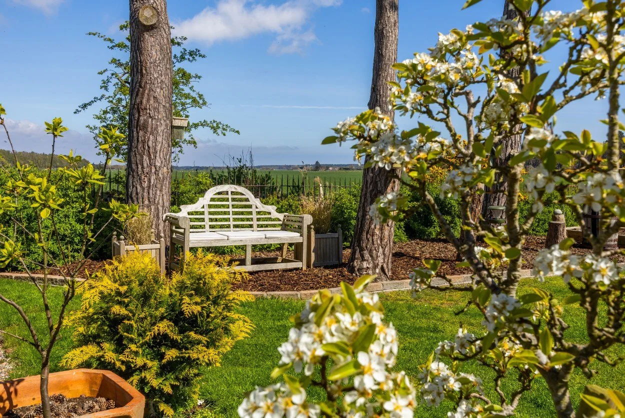 garden-views-country-pinewood-house.jpg