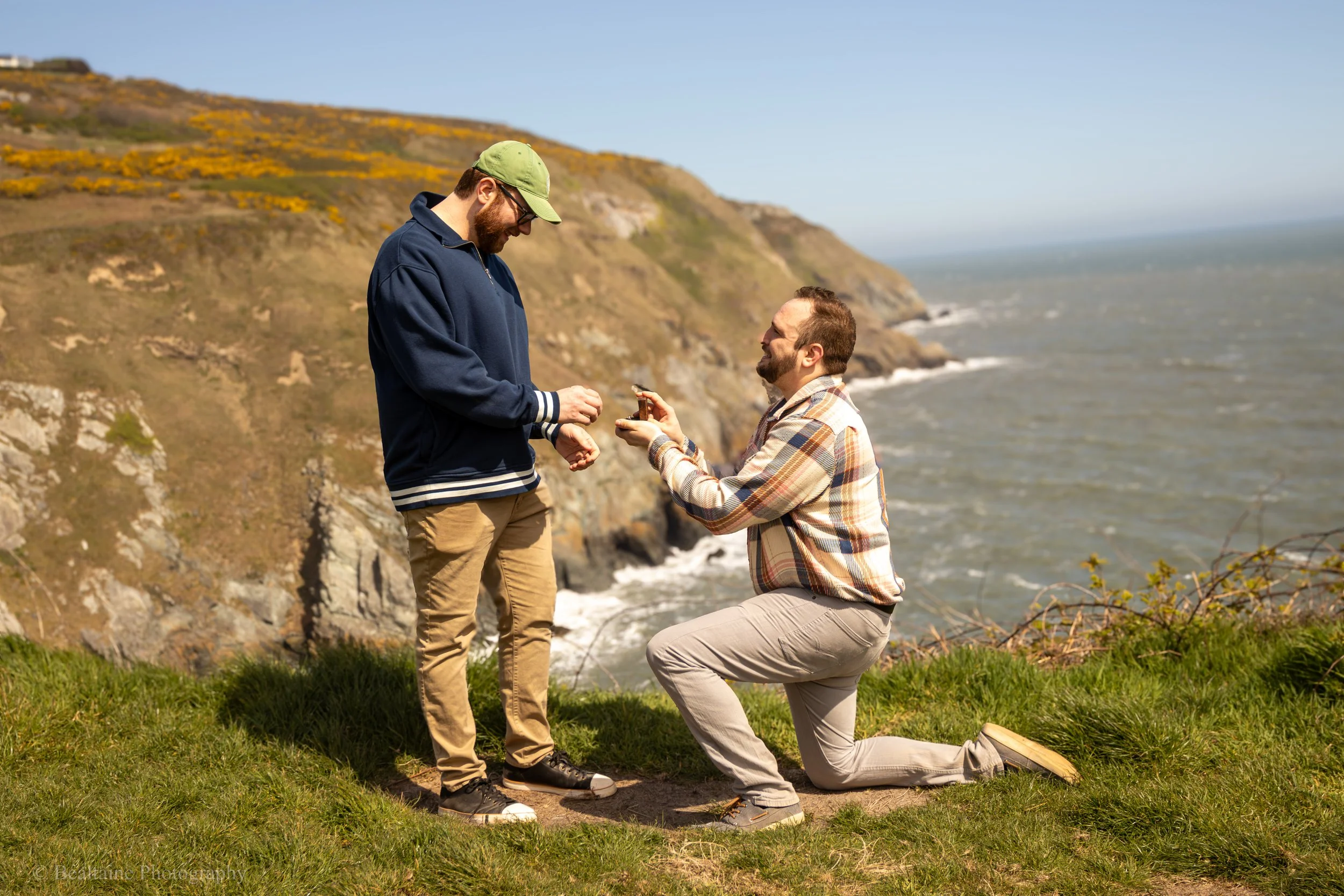 A man is proposing marriage to another man on a grassy cliffside overlooking the ocean. The man kneeling is holding a ring box, and the standing man is smiling and reaching for the ring. The background features rocky cliffs and the sea.