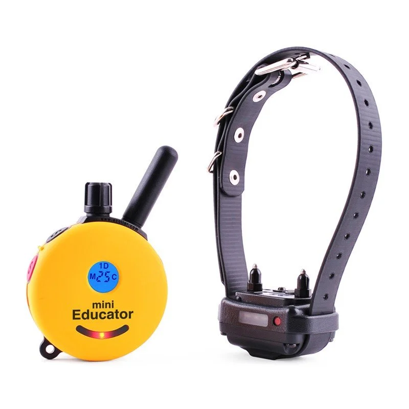 Mini Educator