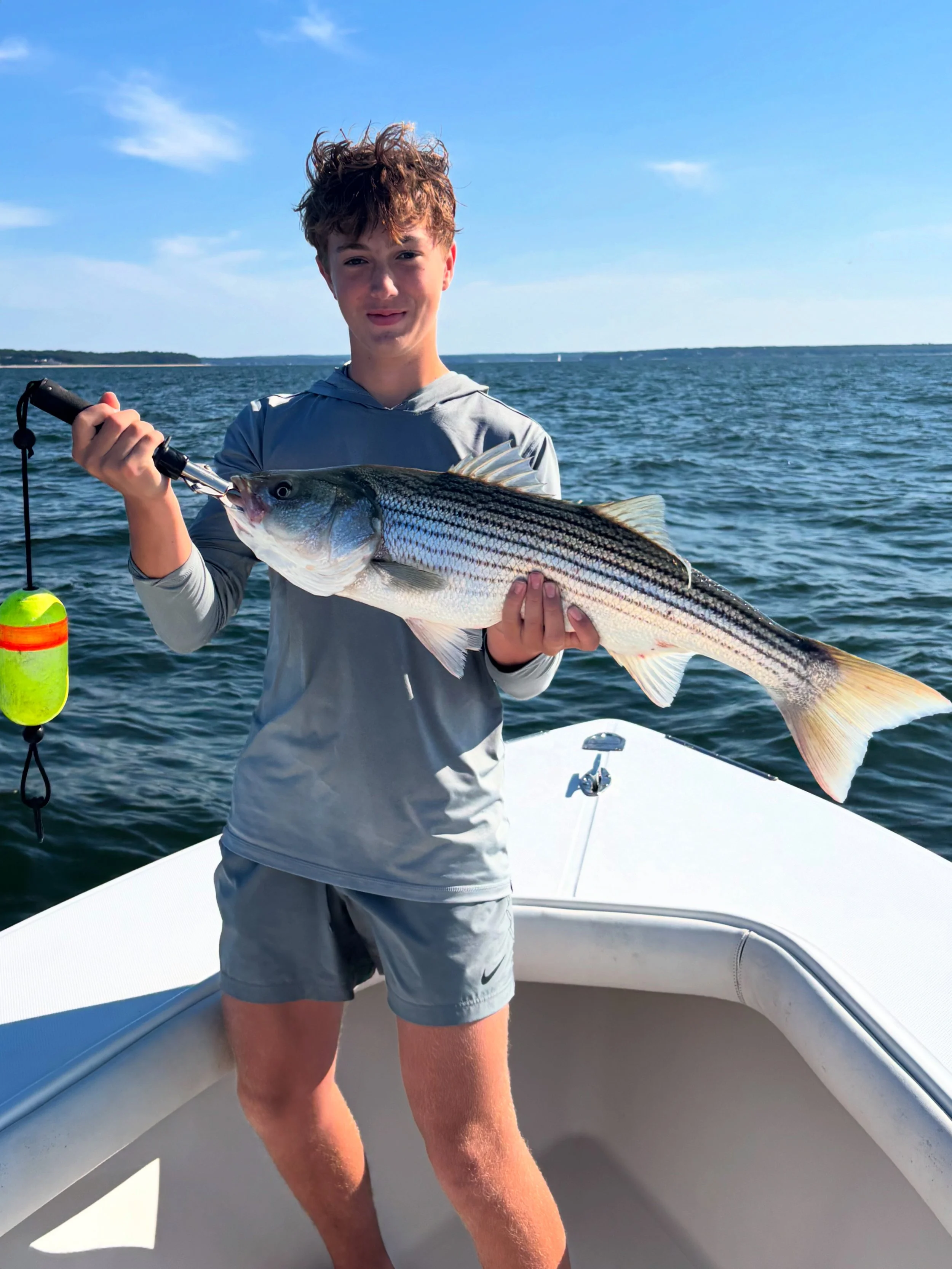 Striped Bass
