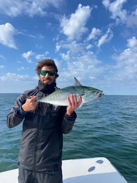 False Albacore (Albies) – Fall Run