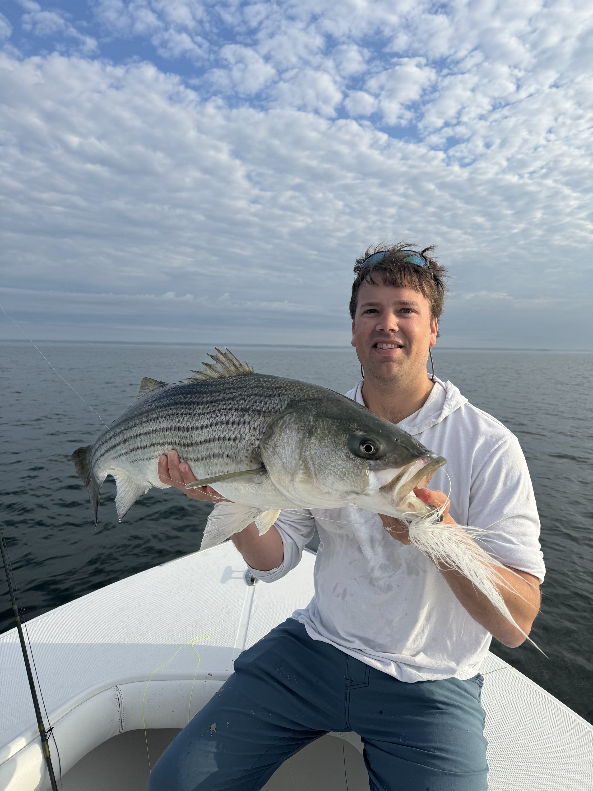 Spring run Fly 