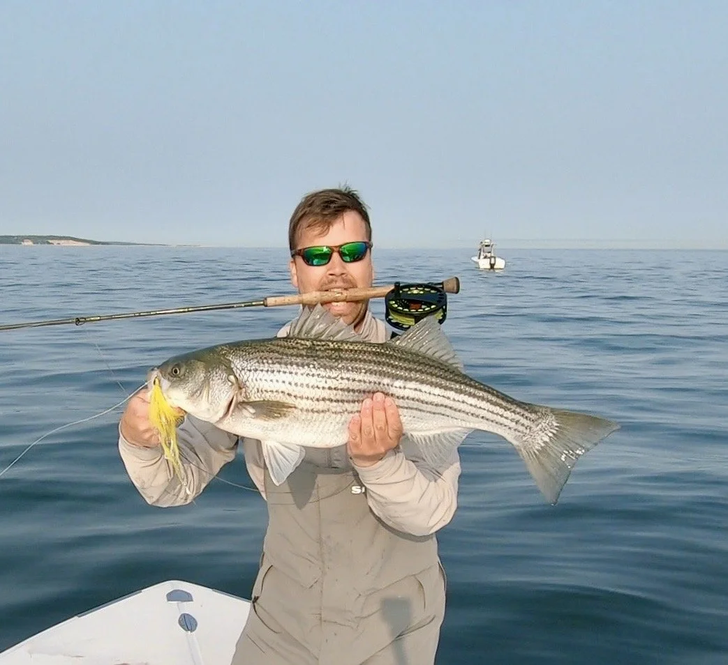 Striper on the fly-May