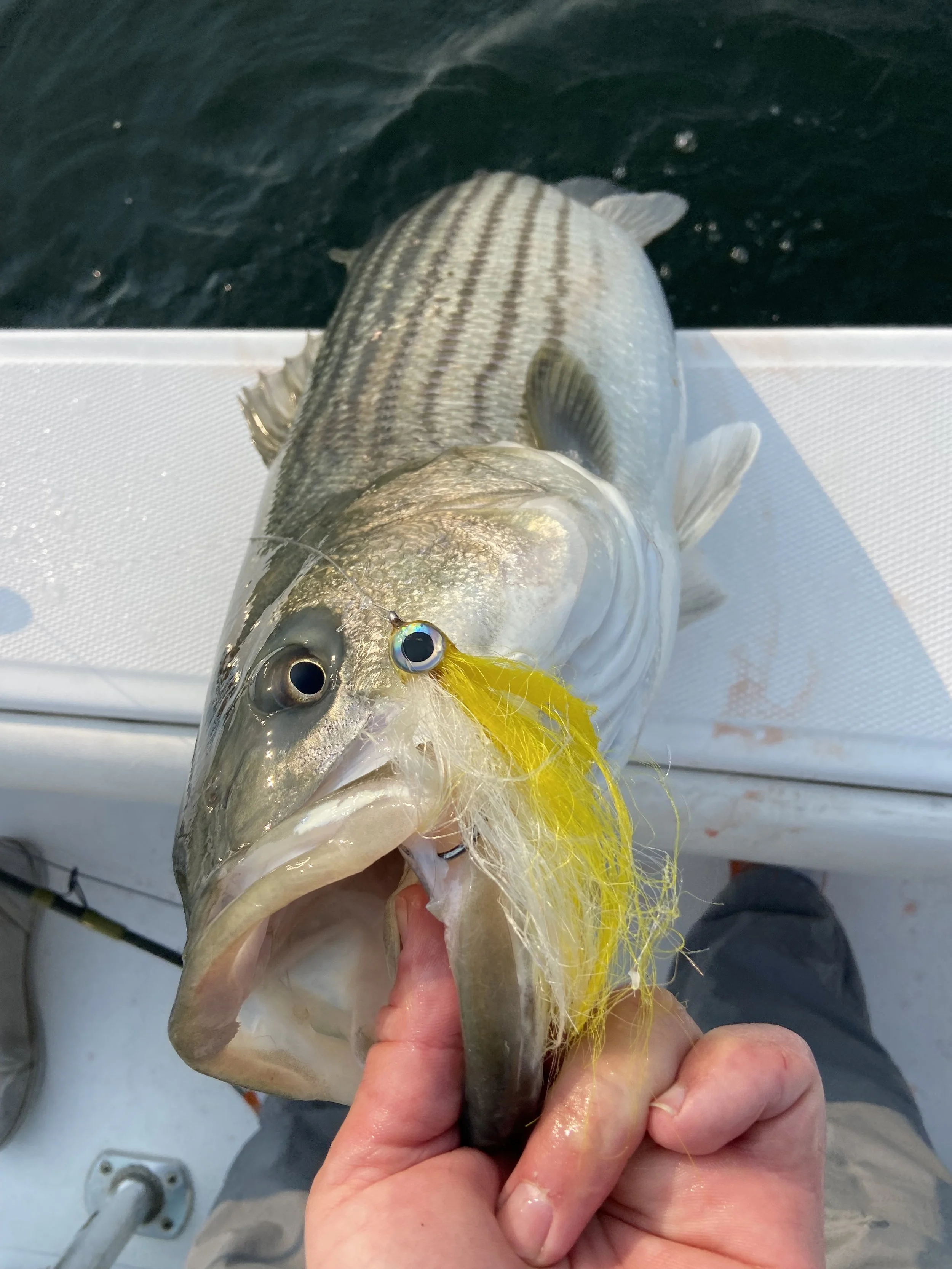 On the fly 