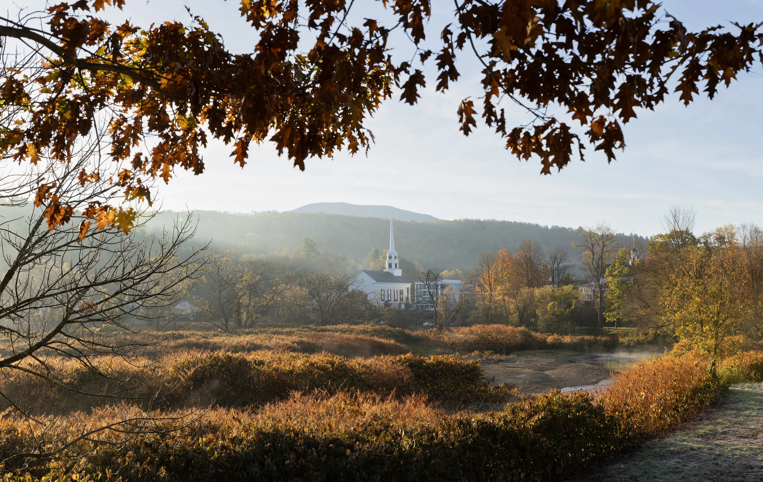 Autumn Morning