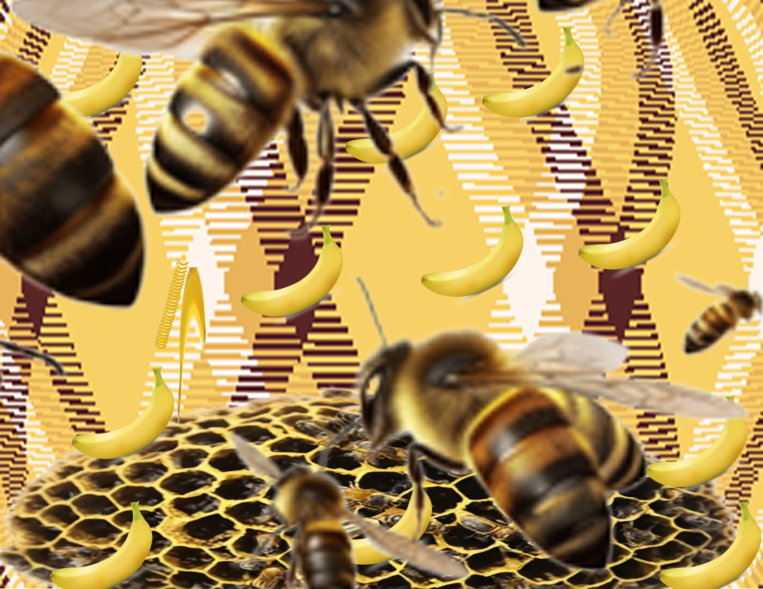 TAY24 Digital Collage WordYellow eliot-10000 bees.png