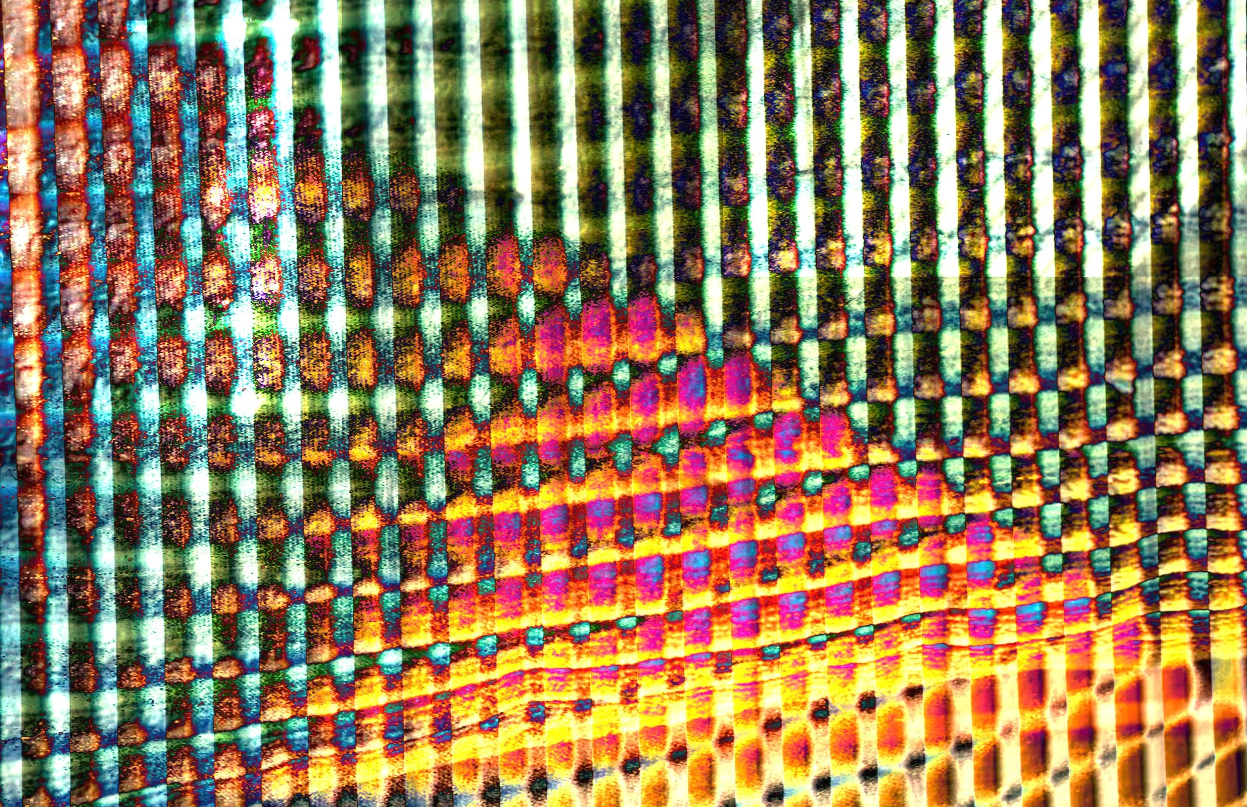 Grounding, 2025
Photography & Digital Collage
11 x 17 inches
