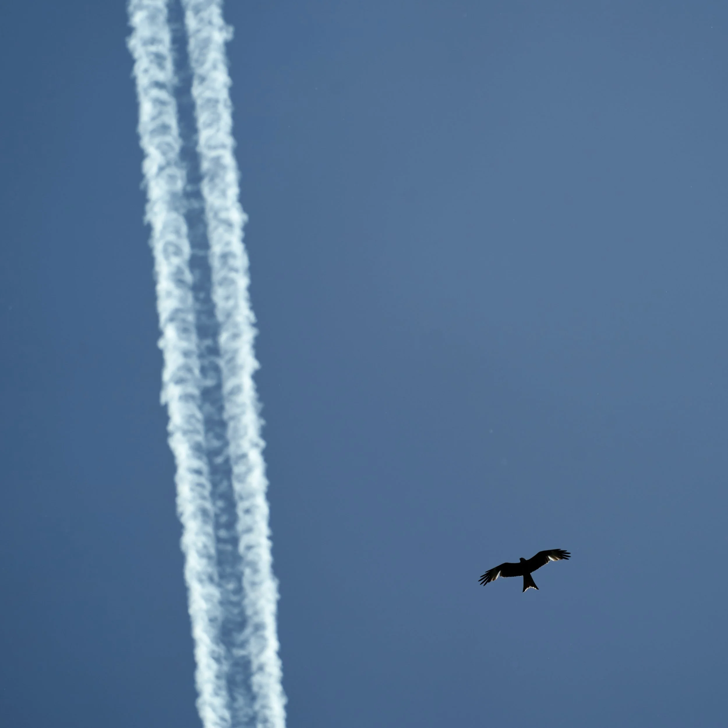 A9_01_01404.jpg