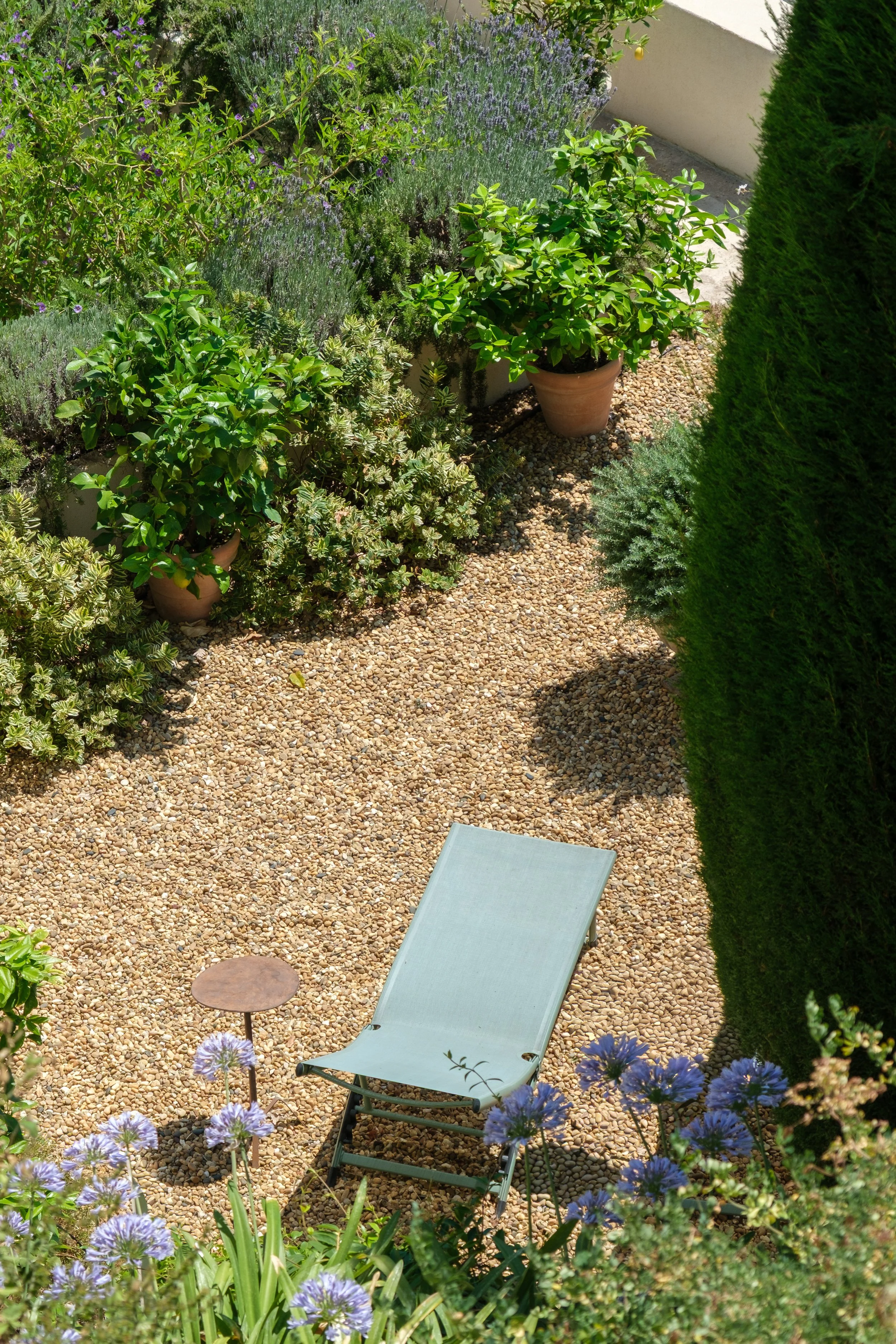 DSCF4316.jpg
