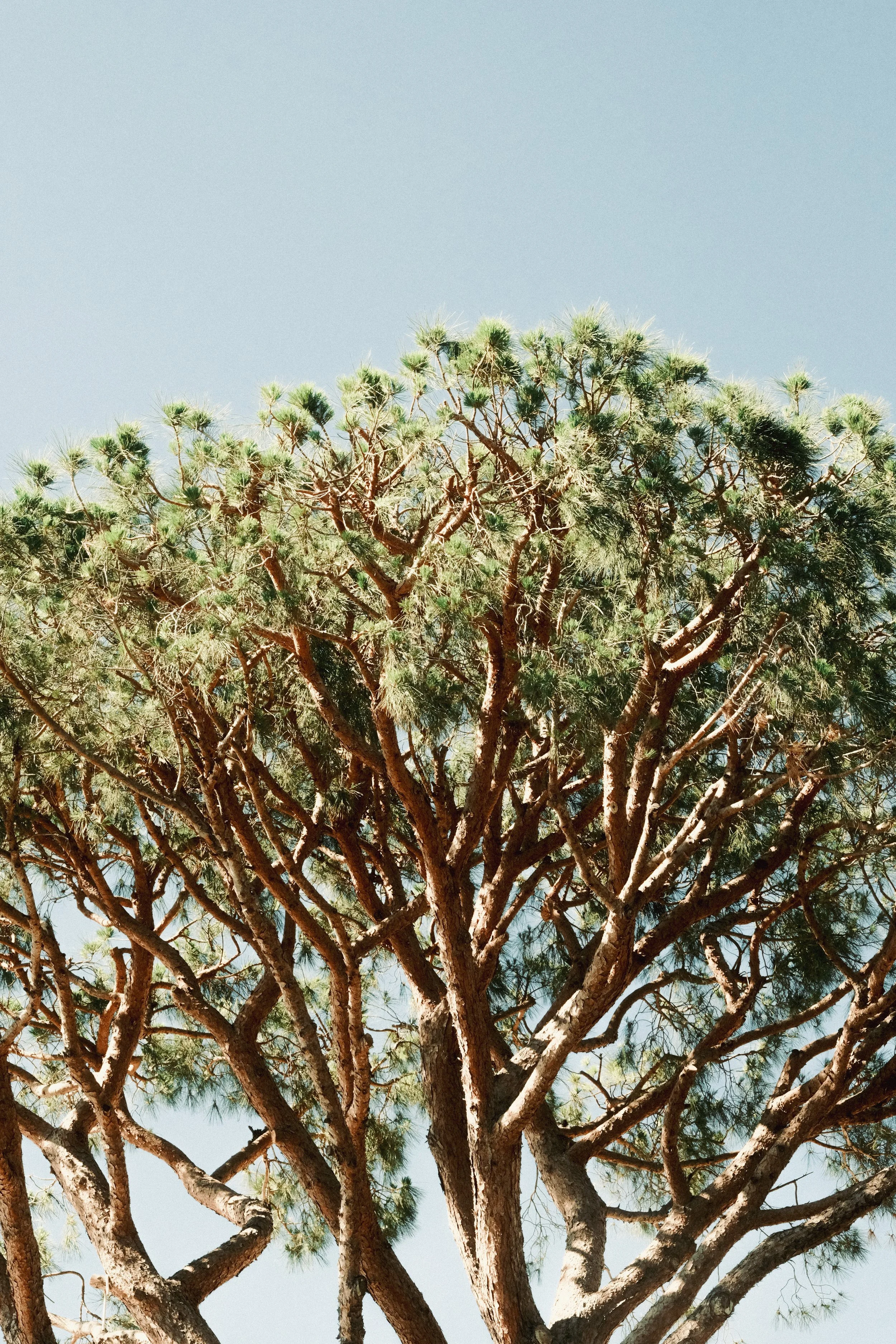 DSCF3305.jpg