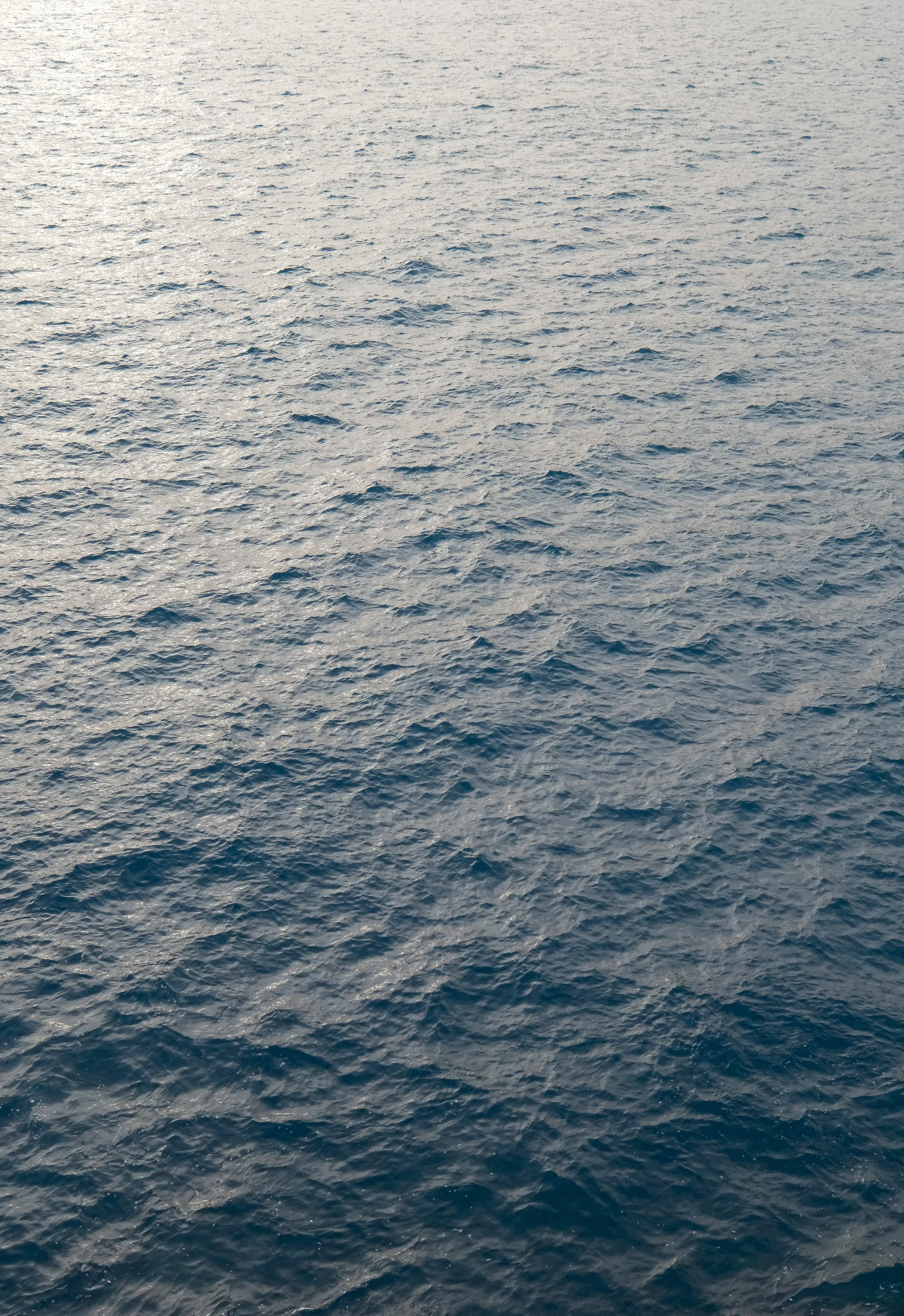 DSCF0634-2.jpg