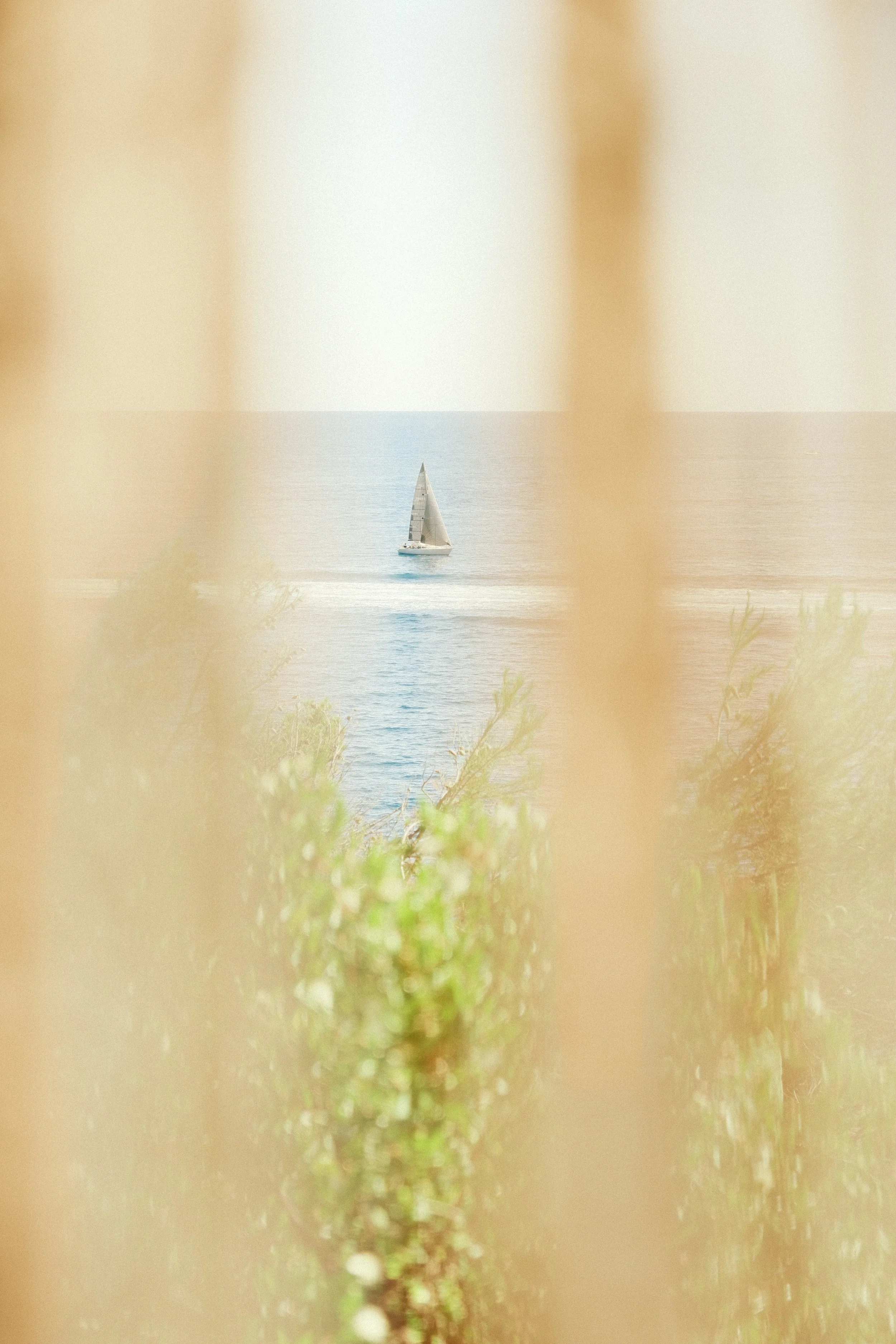 DSCF3298.jpg