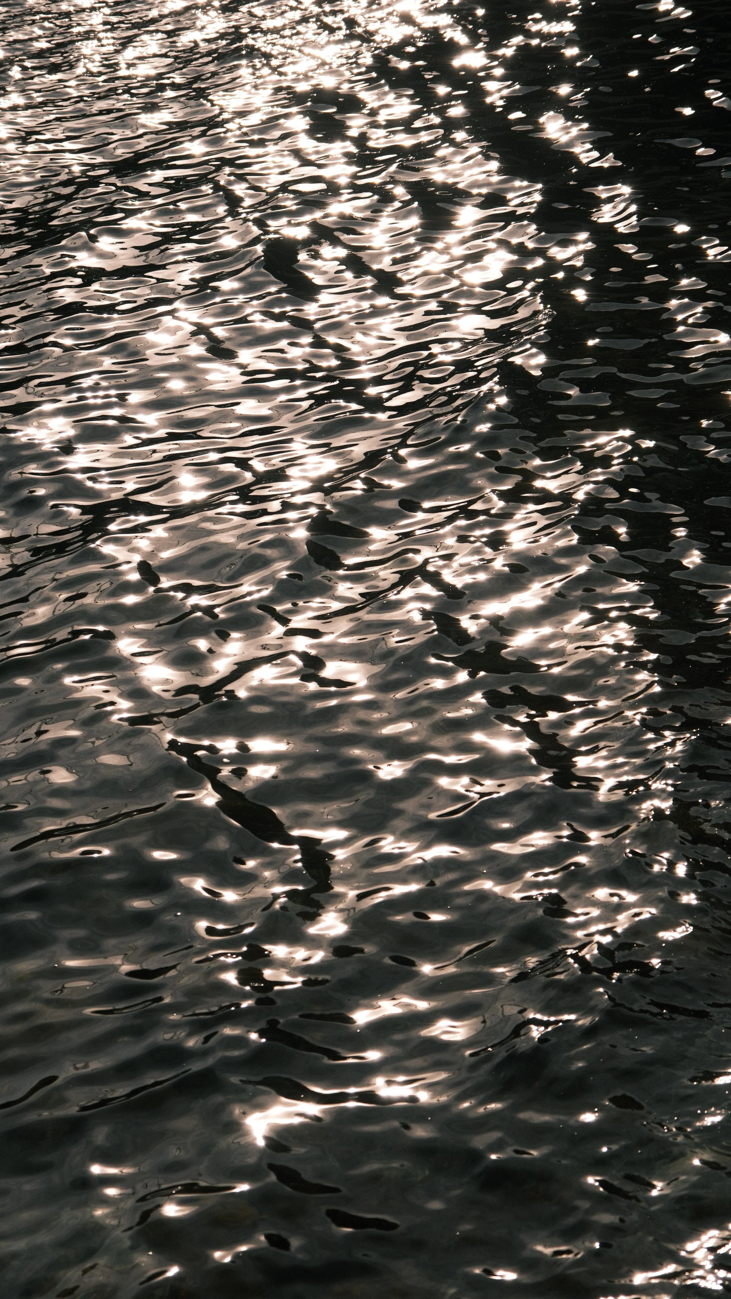 LE SUD