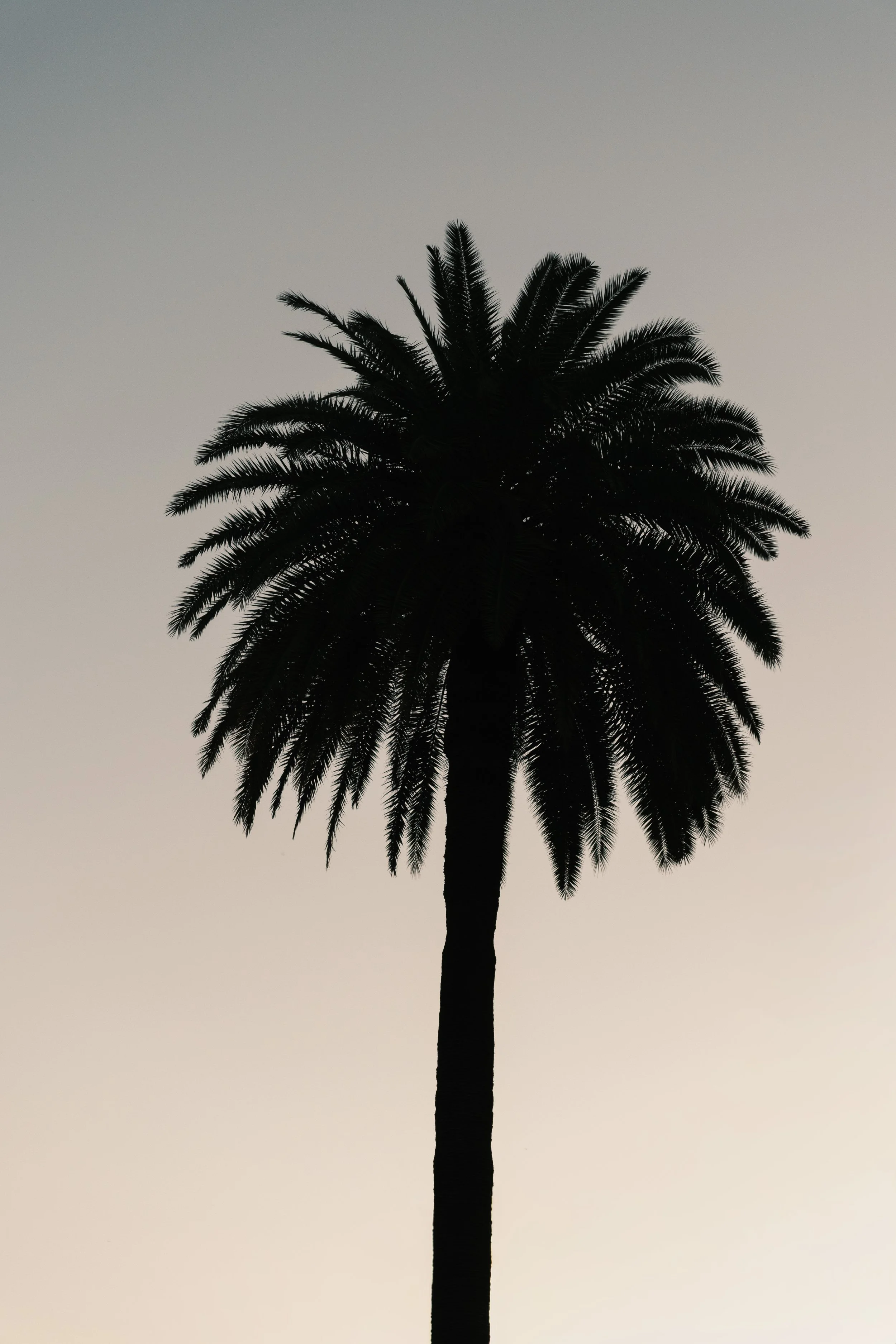 DSCF2735.jpg