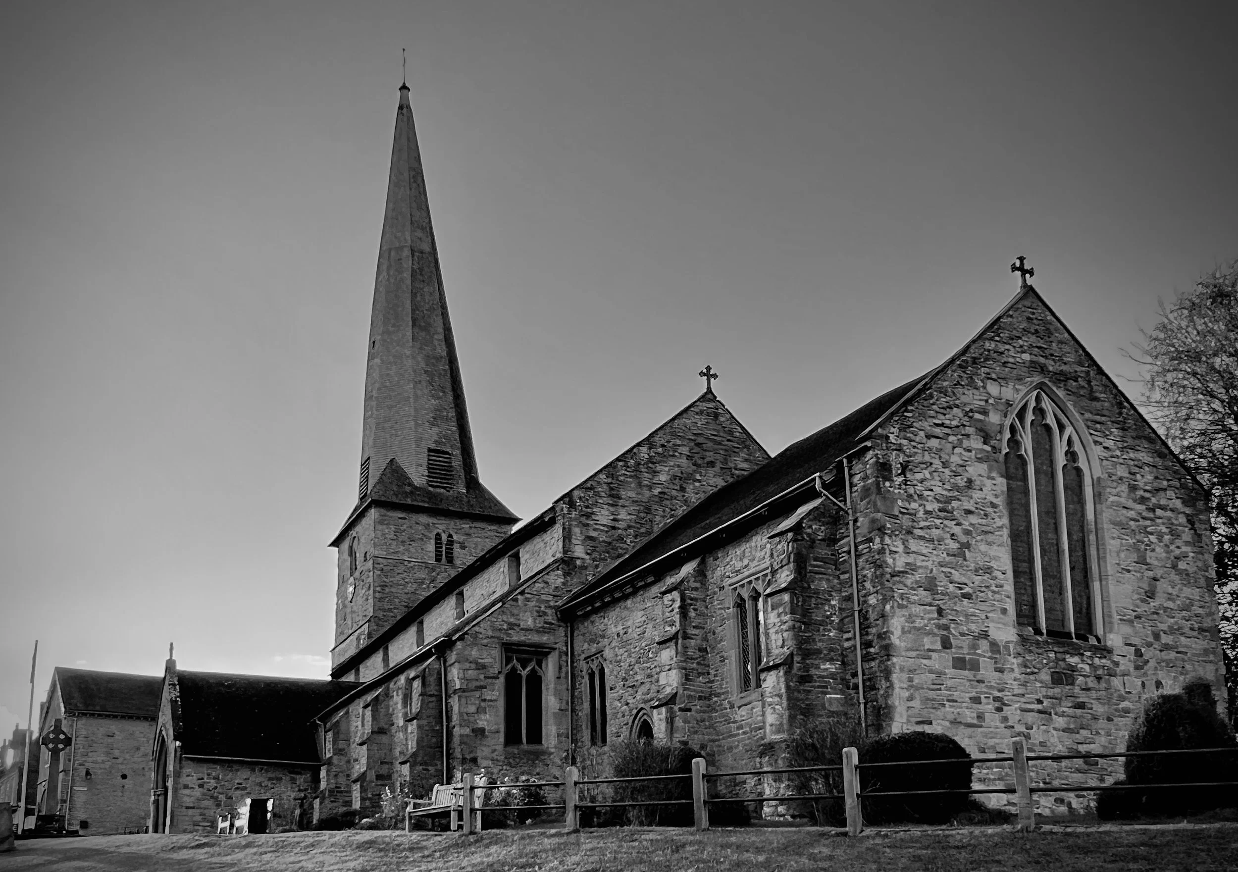 IMG_5168.jpg