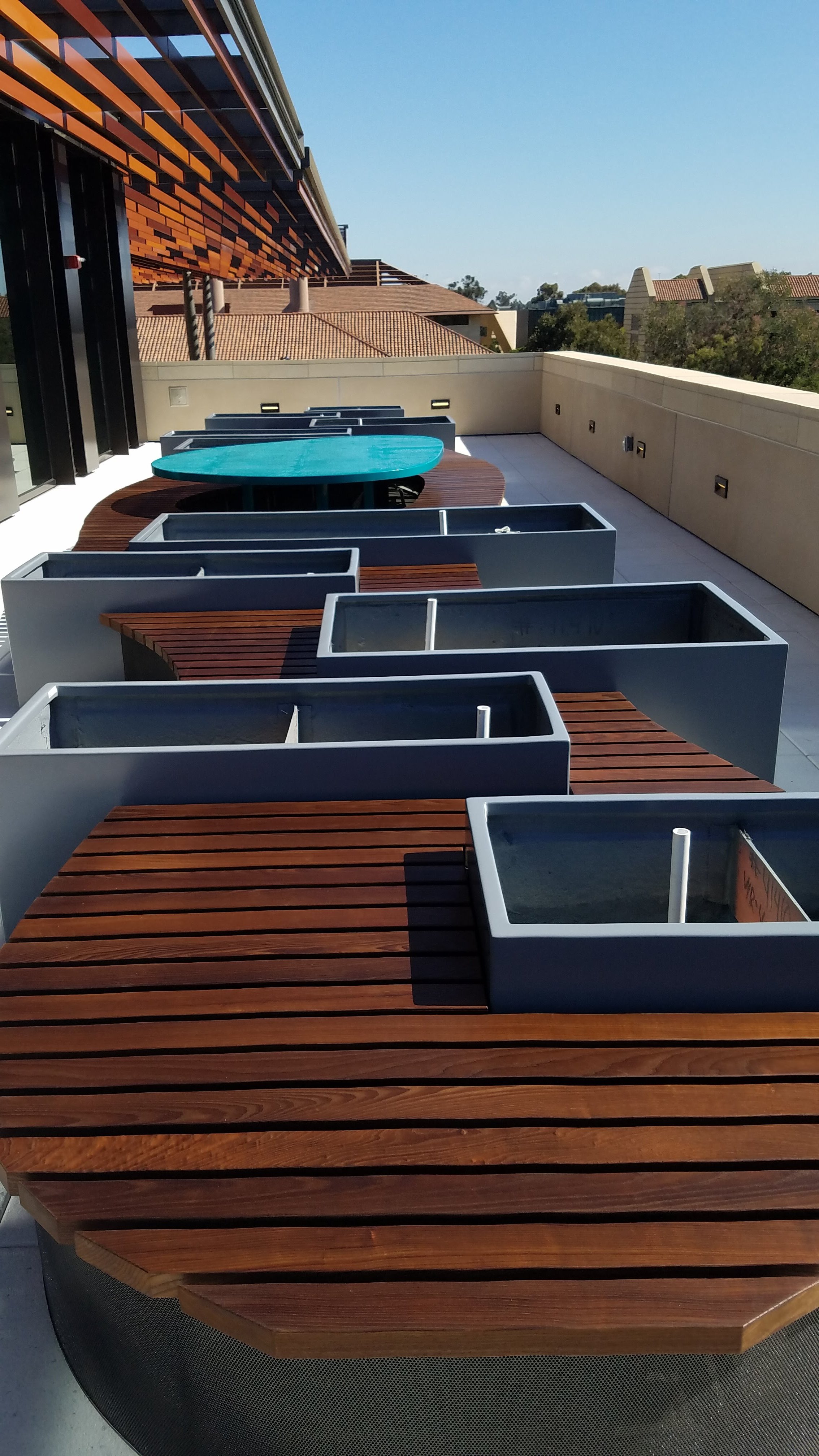 Mid-Install: Organic-shapped cedar bench weaves through gray metal planters on Stanford's Bass Biology Research Building's rooftop terrace. In the background, a blue tabletop floats above the table, offering a space for round table-like discussions.
