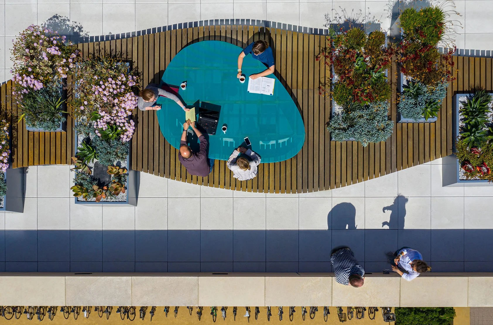 Viewed from above, the cedar-clad bench ebbs and flows around a series of rectangular planters. In the center, an organically-shaped blue table offers a space for collaboration.