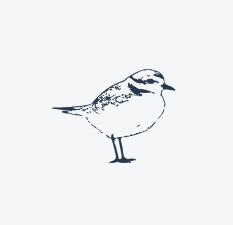 Minimalist illustration of a small bird, possibly a sparrow, with detailed markings on its head and wings.