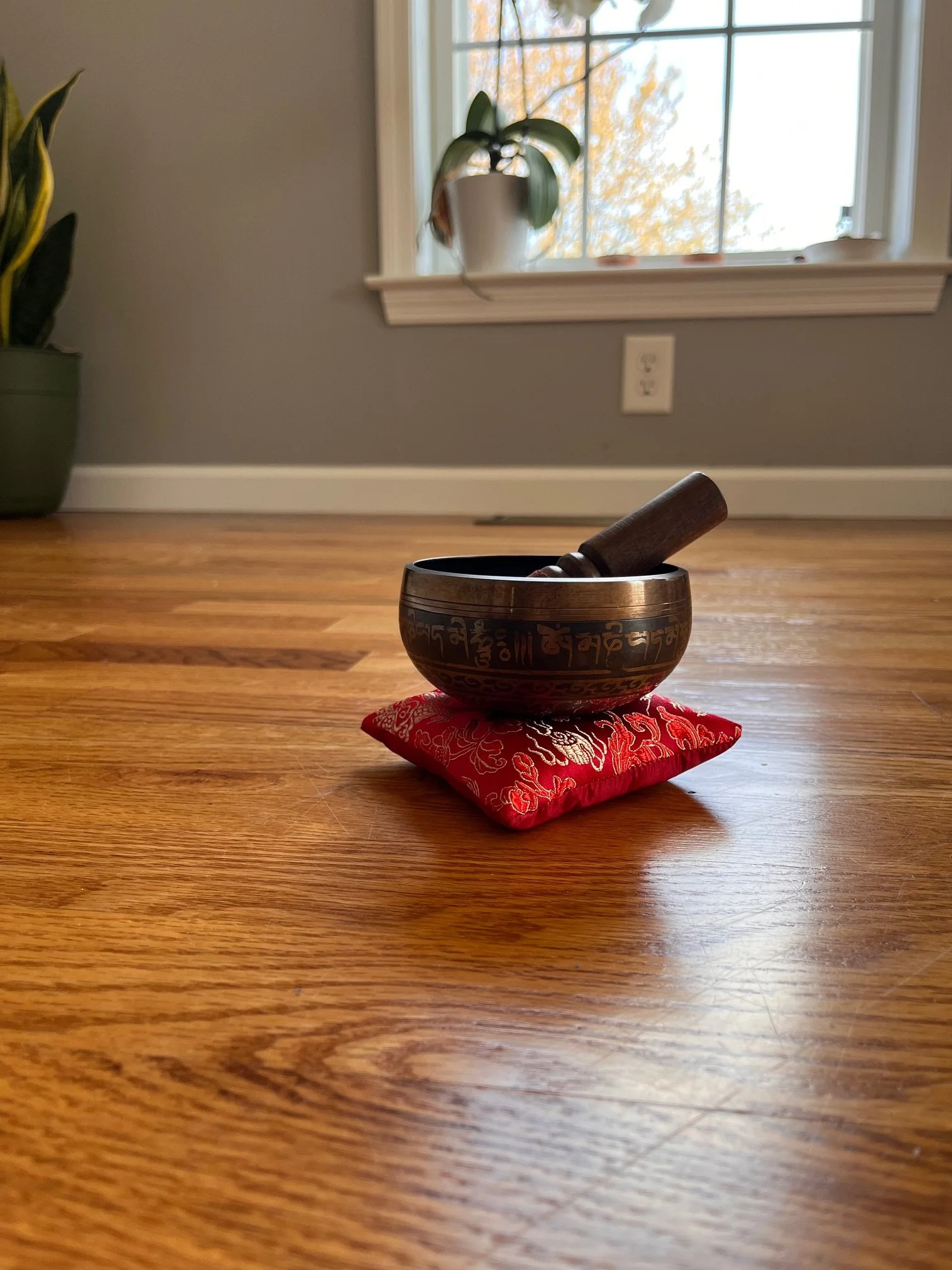 A singing bowl with a wooden striker resting on a red velvet cushion on a wooden floor near a window with plants in the background.