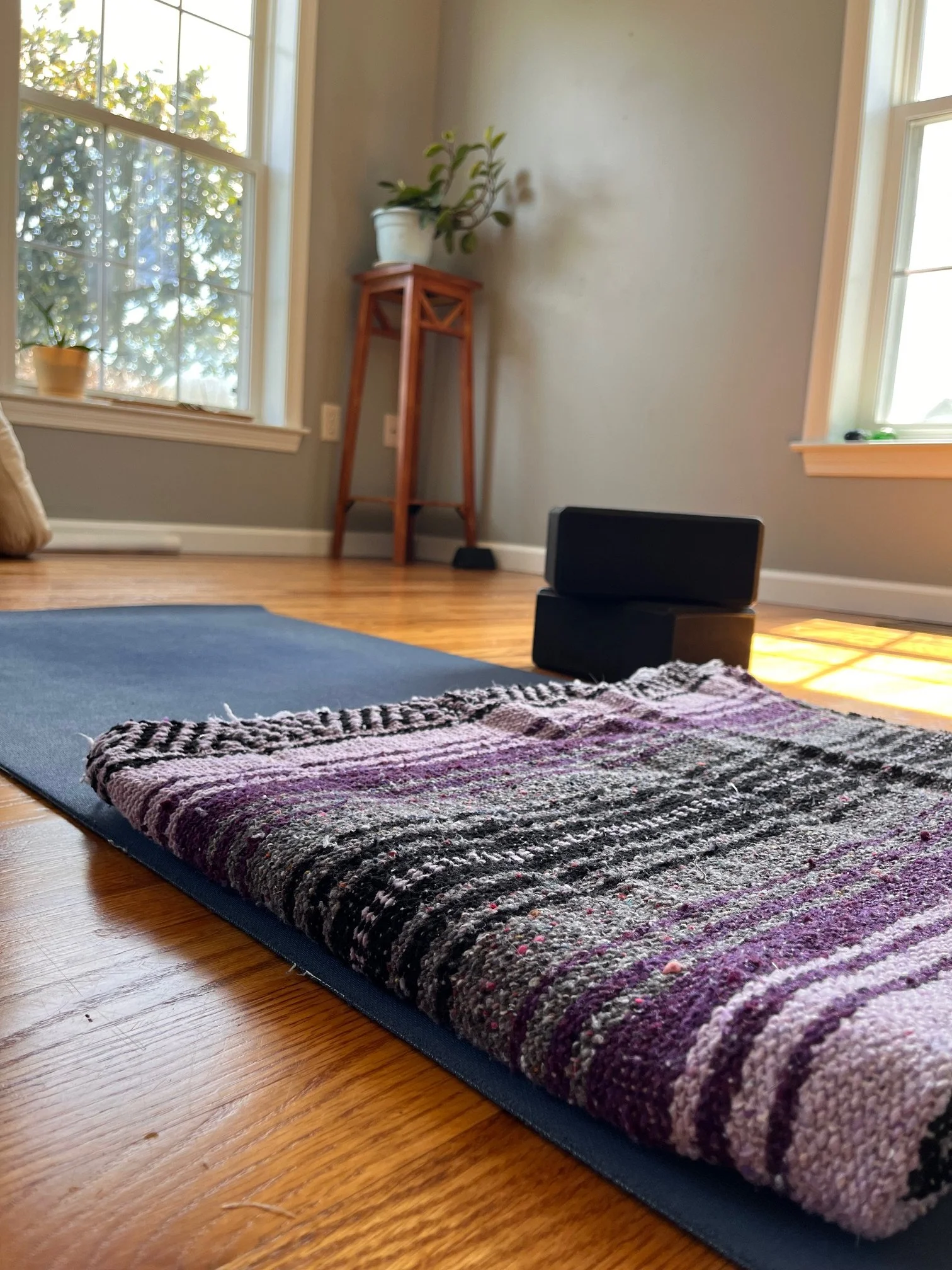 Yoga mat on hardwood floor with cushion and black yoga blocks in sunlit room with large windows and indoor plants.