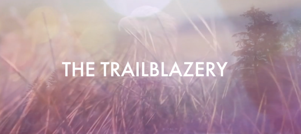 Title screen with white text 'THE TRAILBLAZER' over a blurred background of tall grass and trees.