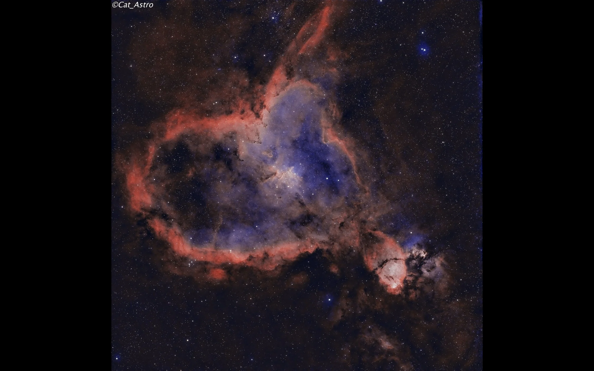 The Heart Nebula