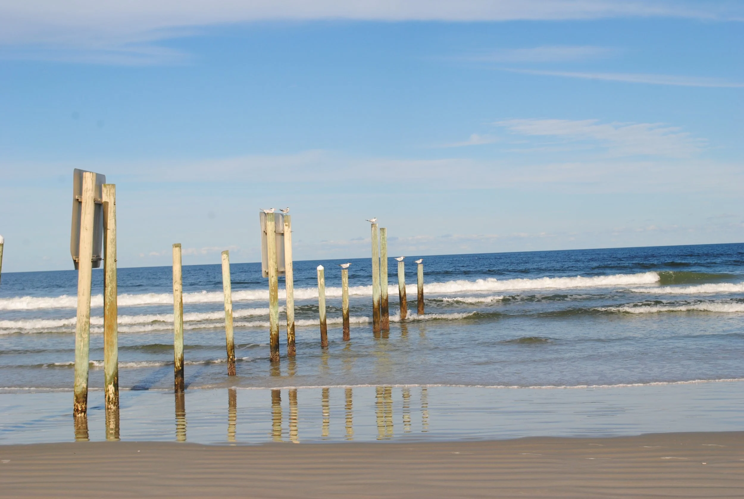 DSC_0065.JPG