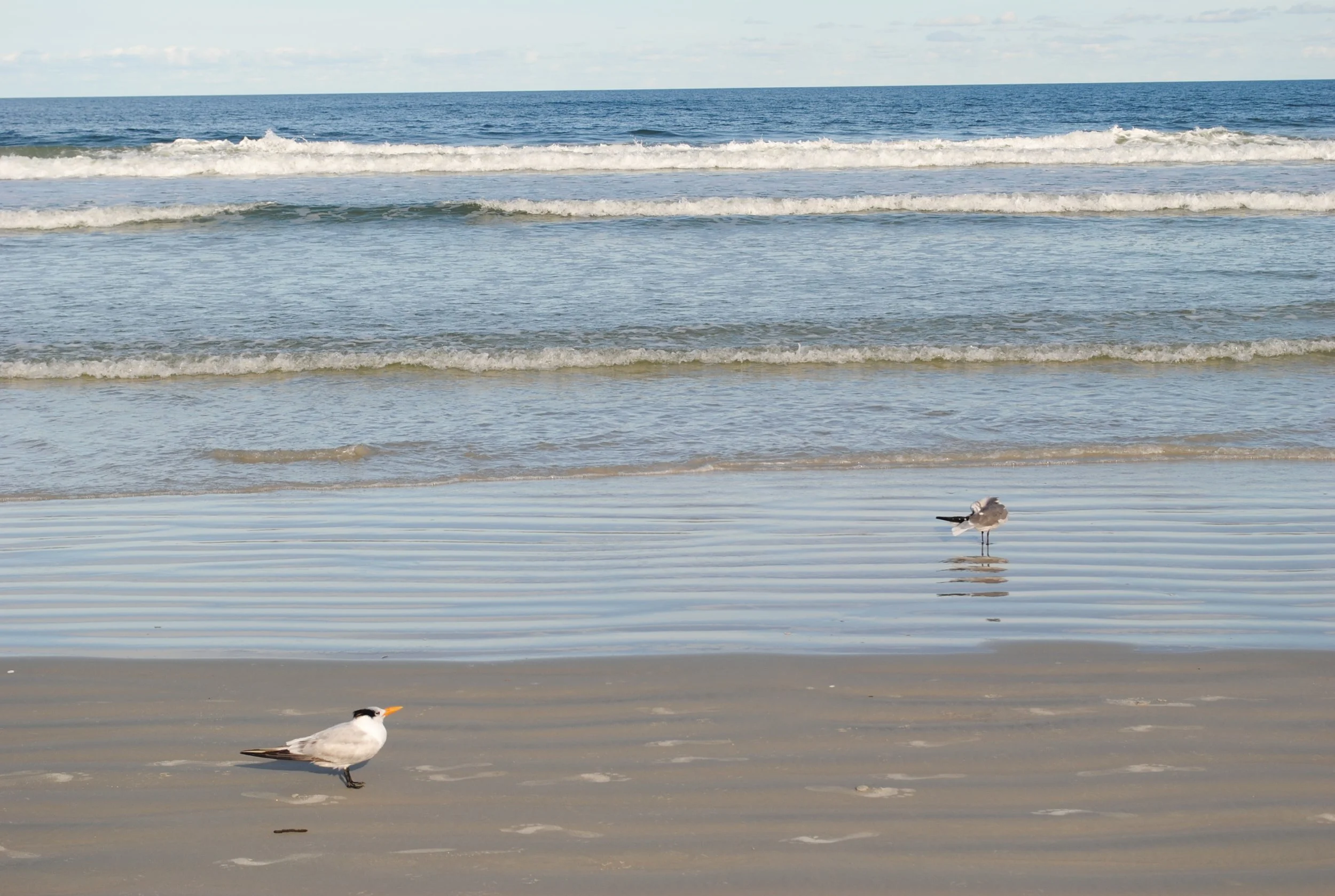DSC_0076.JPG