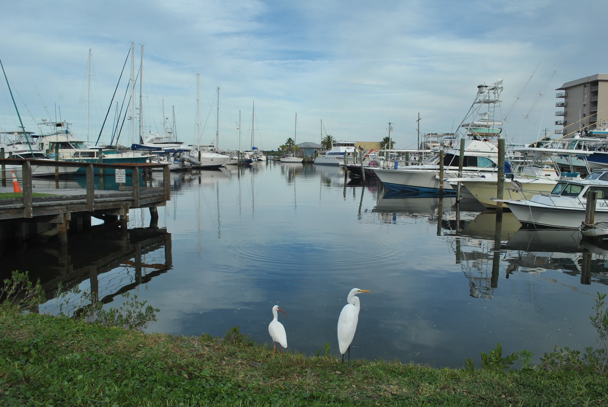 DSC_0241.JPG