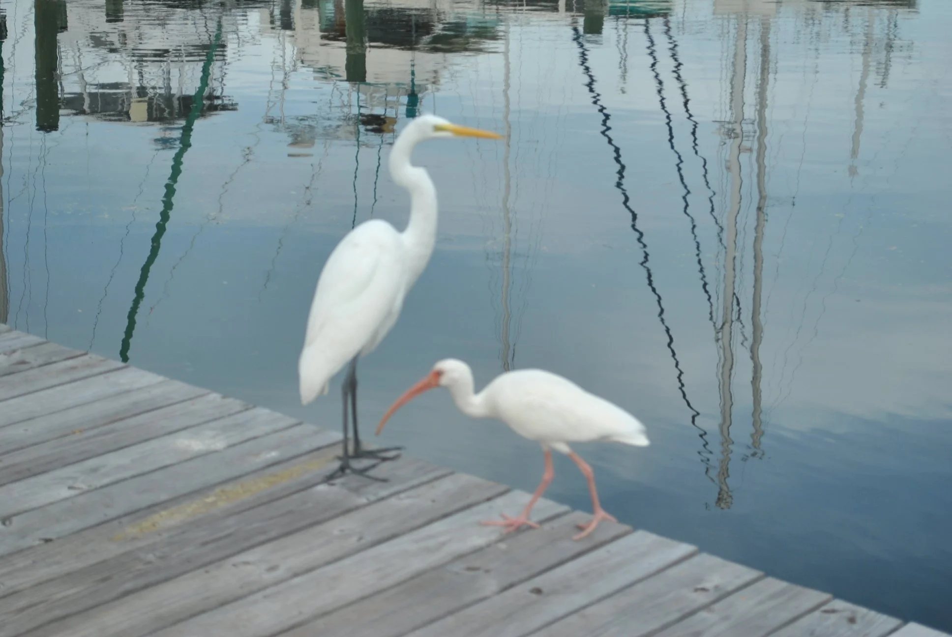 DSC_0363.JPG