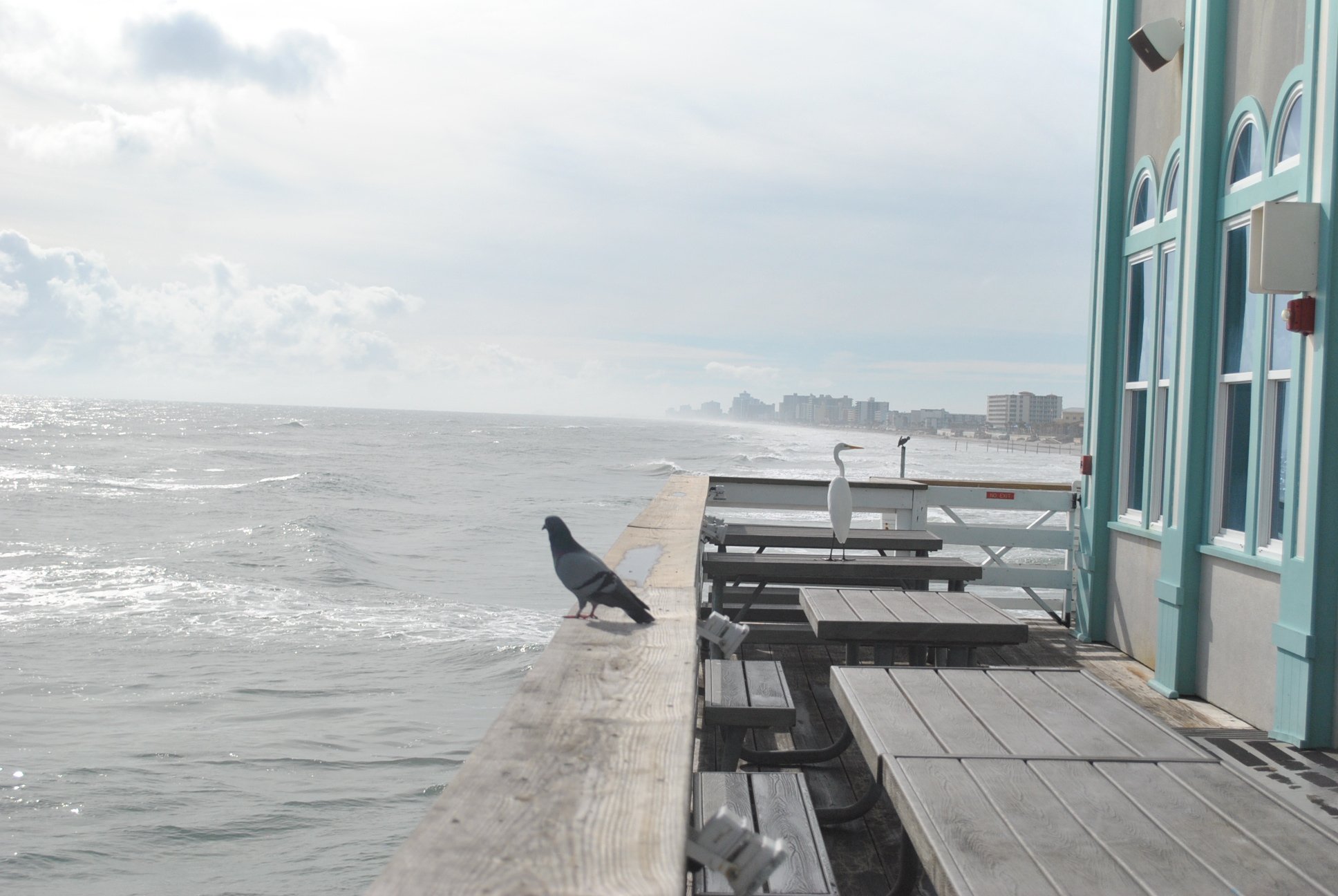 DSC_0945.JPG
