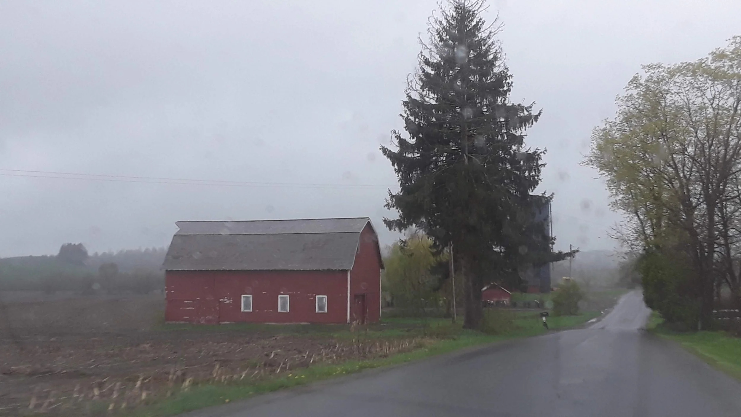 20190505_171053.jpg